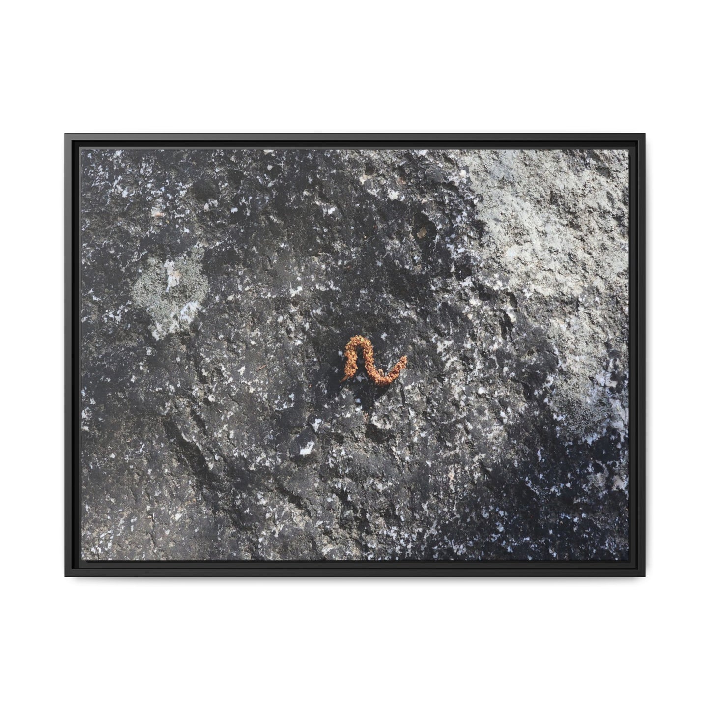 Volcanic Ash and Copper - Unique Stretched Canvas Wall Art