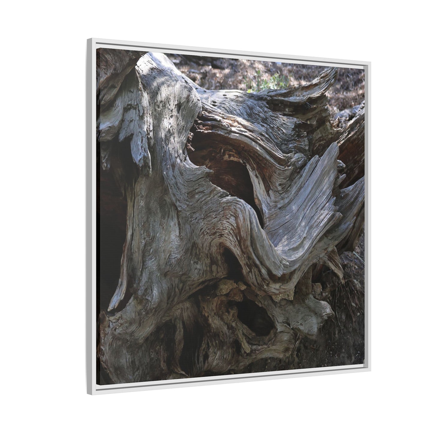 Twisted Memories - Unique Stretched Canvas Wall Art