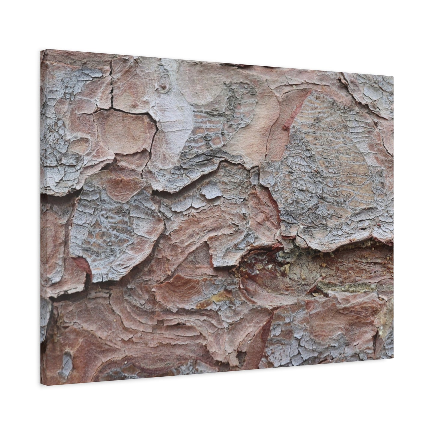 Textural Landscape - Unique Frameless Canvas Wall Art