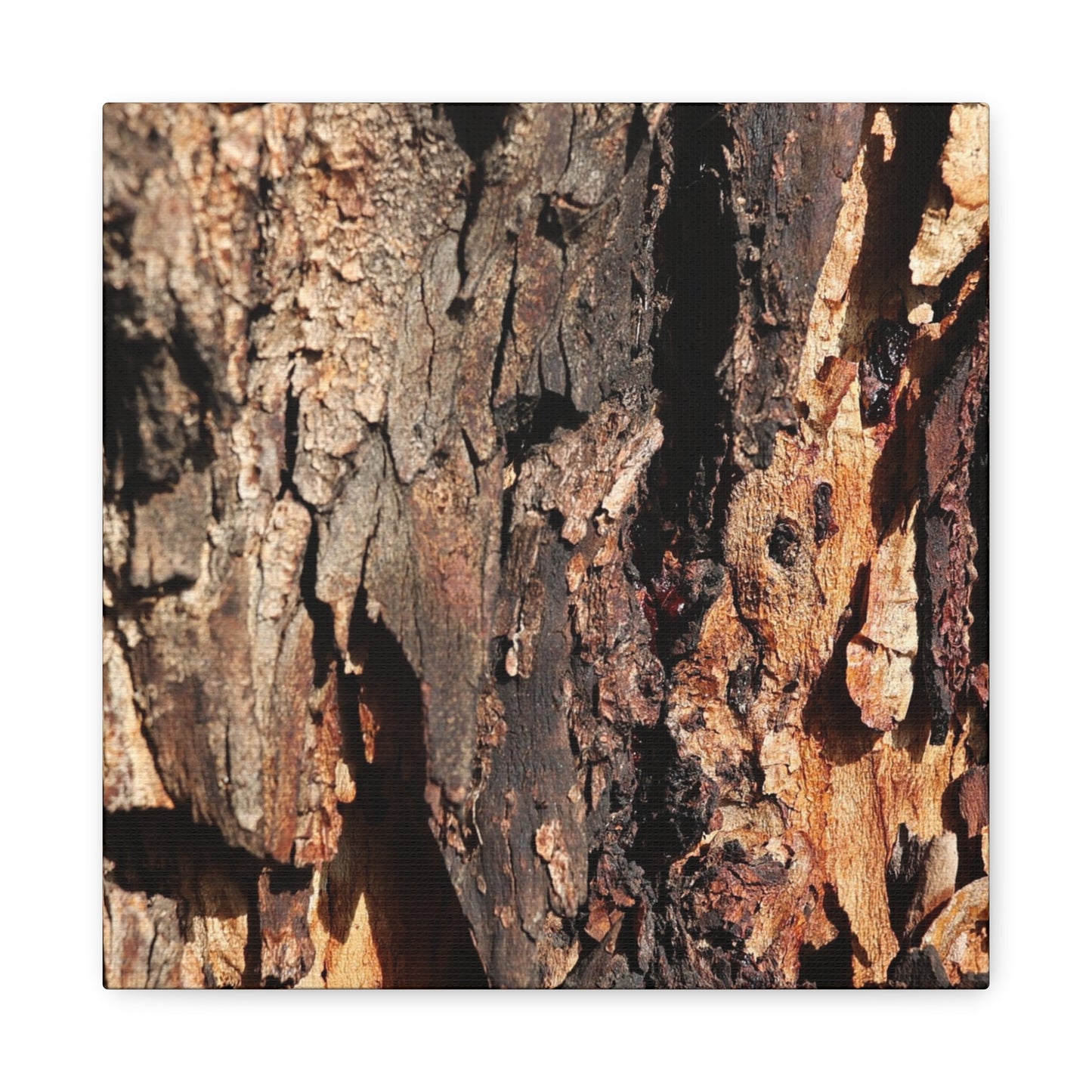 Wooden Terrain - Unique Frameless Canvas Wall Art