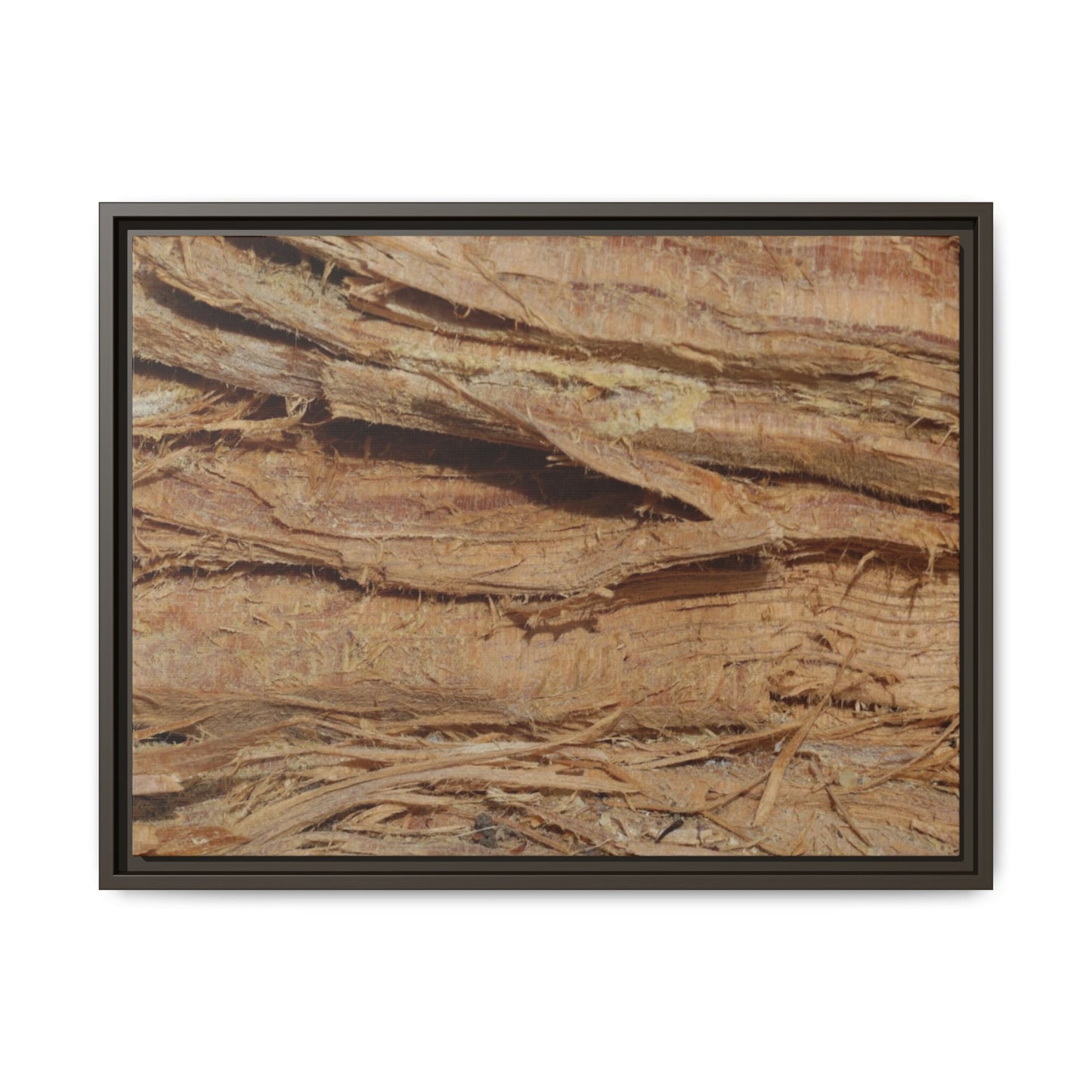 Splintered Bark - Unique Stretched Canvas Wall Art