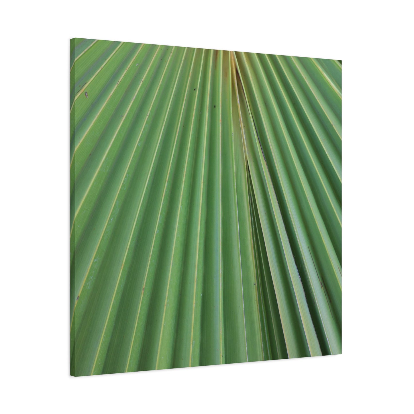 Fan of Green - Unique Frameless Canvas Wall Art