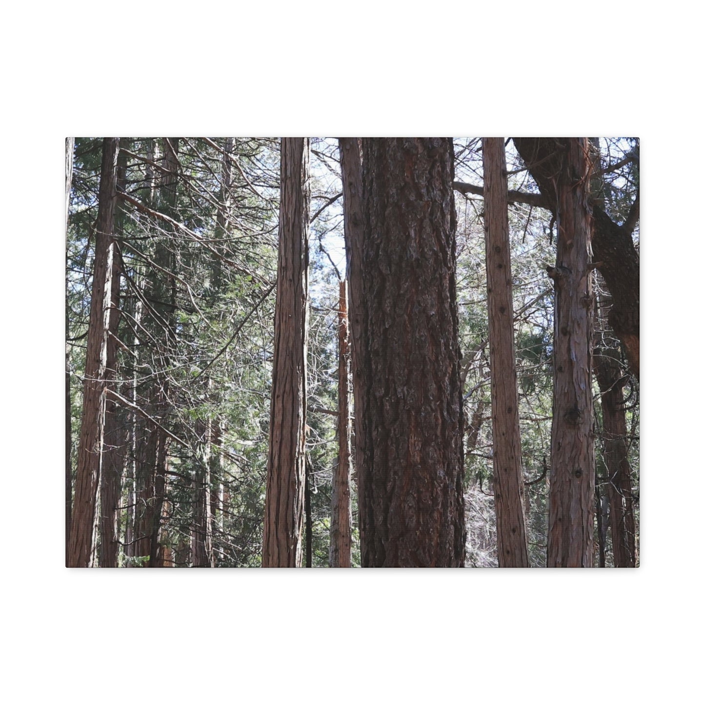 Vertical Sentinels - Unique Frameless Canvas Wall Art