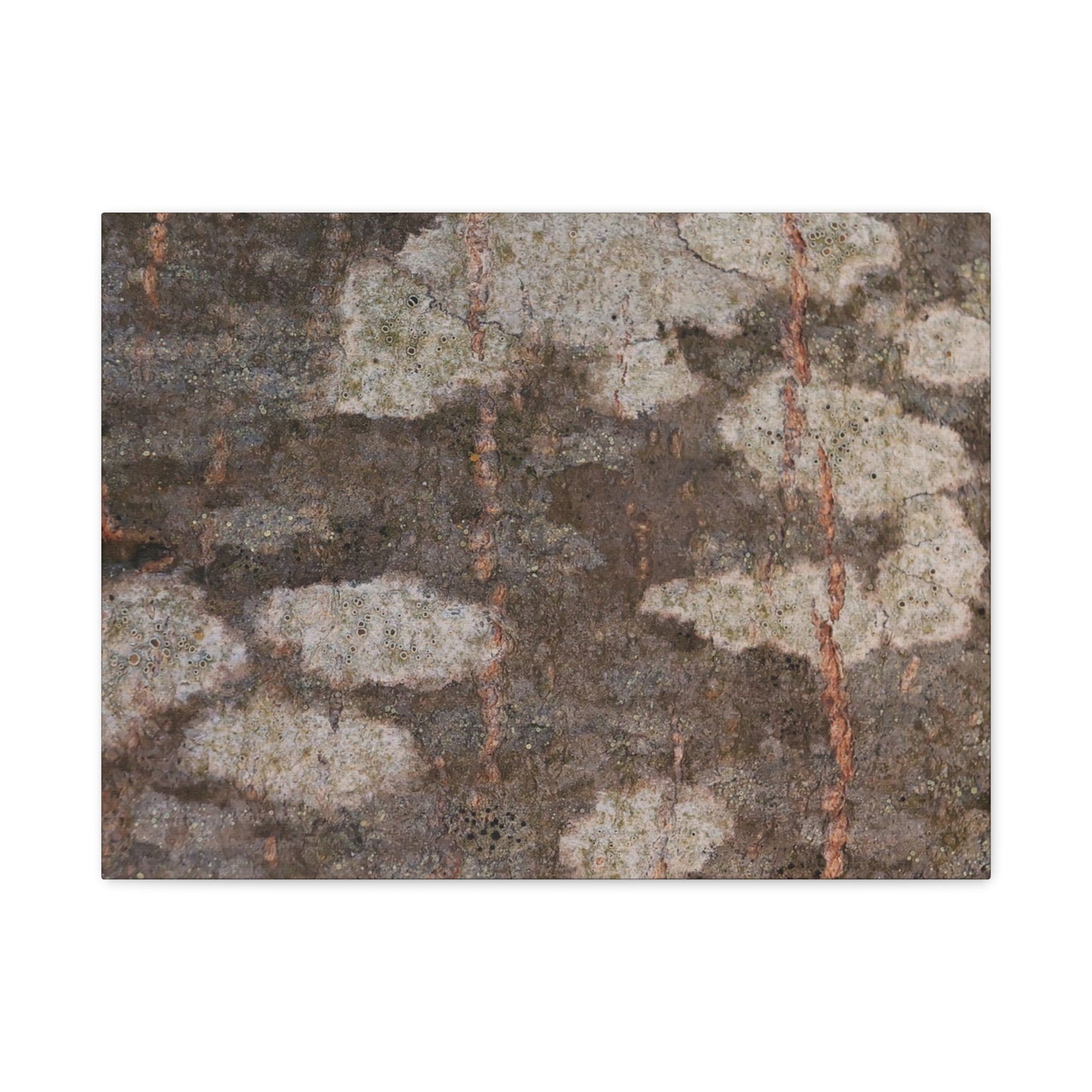 Earthen Memoir - Unique Frameless Canvas Wall Art