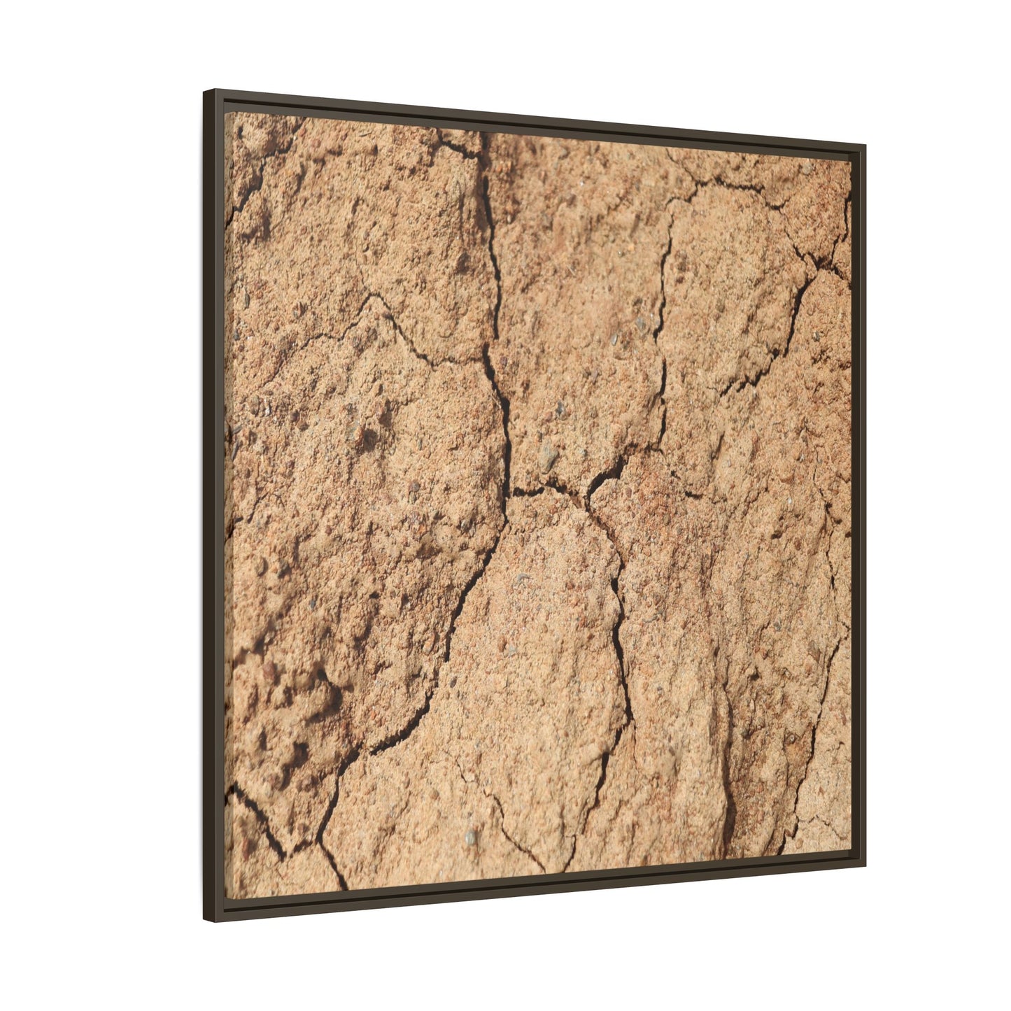 Parched Land - Unique Stretched Canvas Wall Art