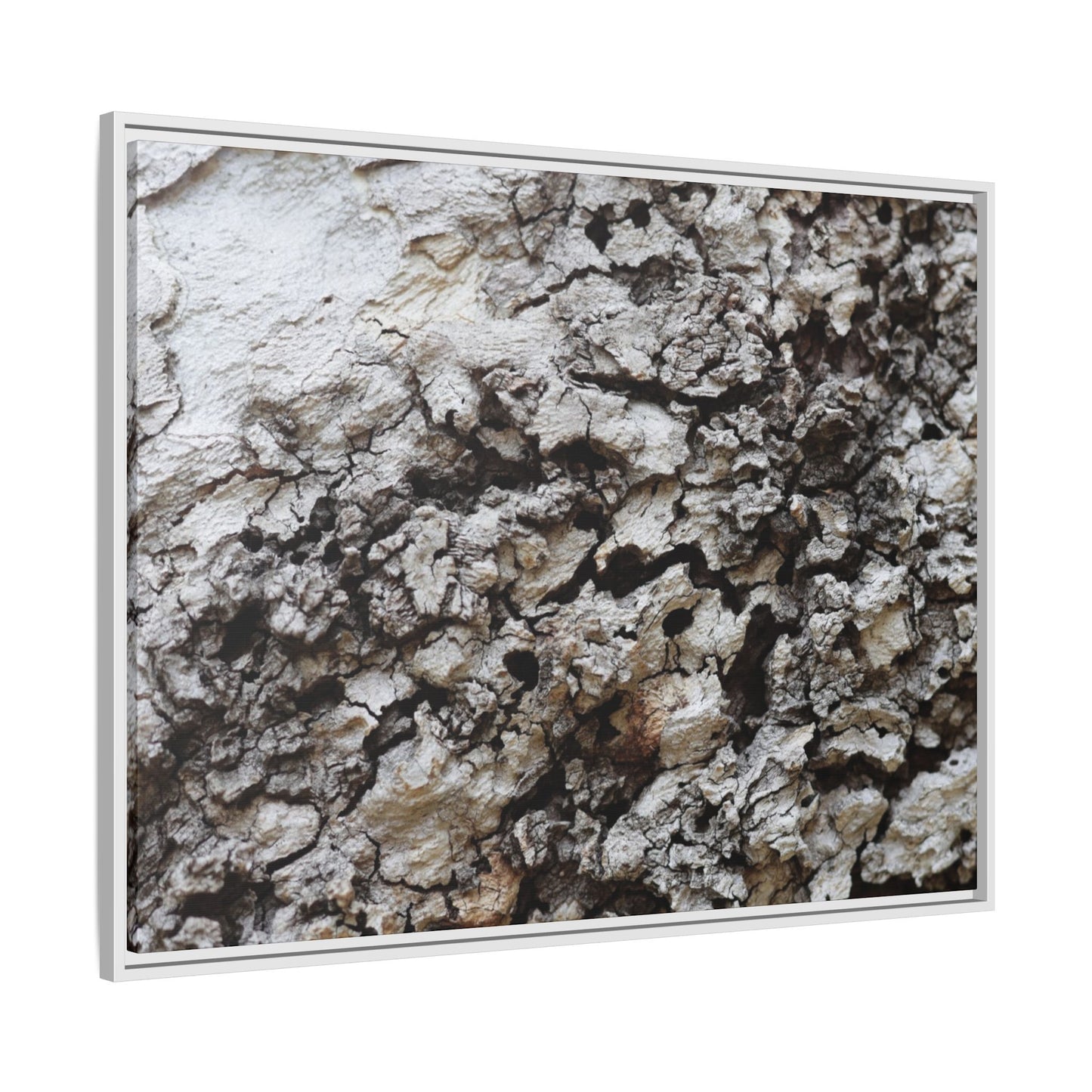 Cracked Terrain - Unique Stretched Canvas Wall Art