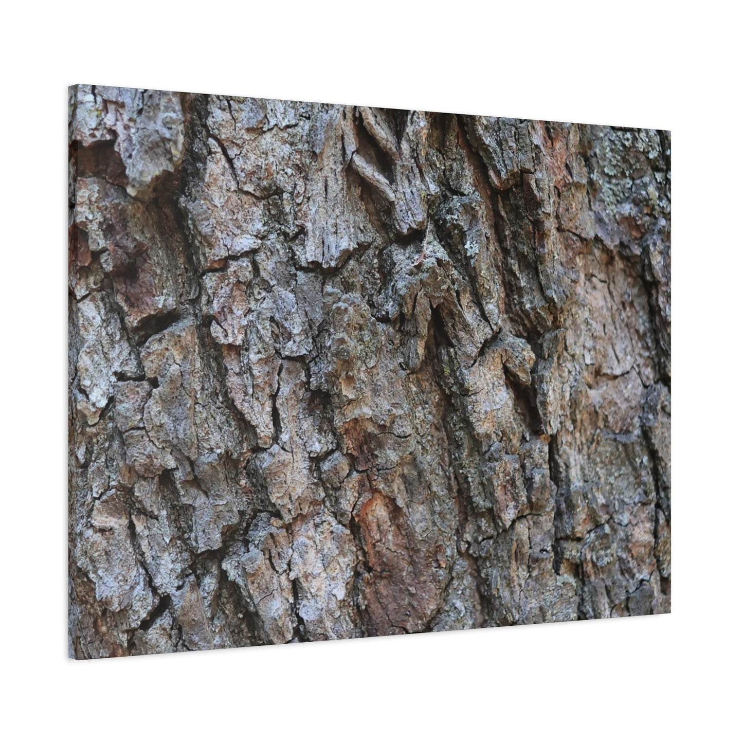Rugged Canvas - Unique Frameless Canvas Wall Art