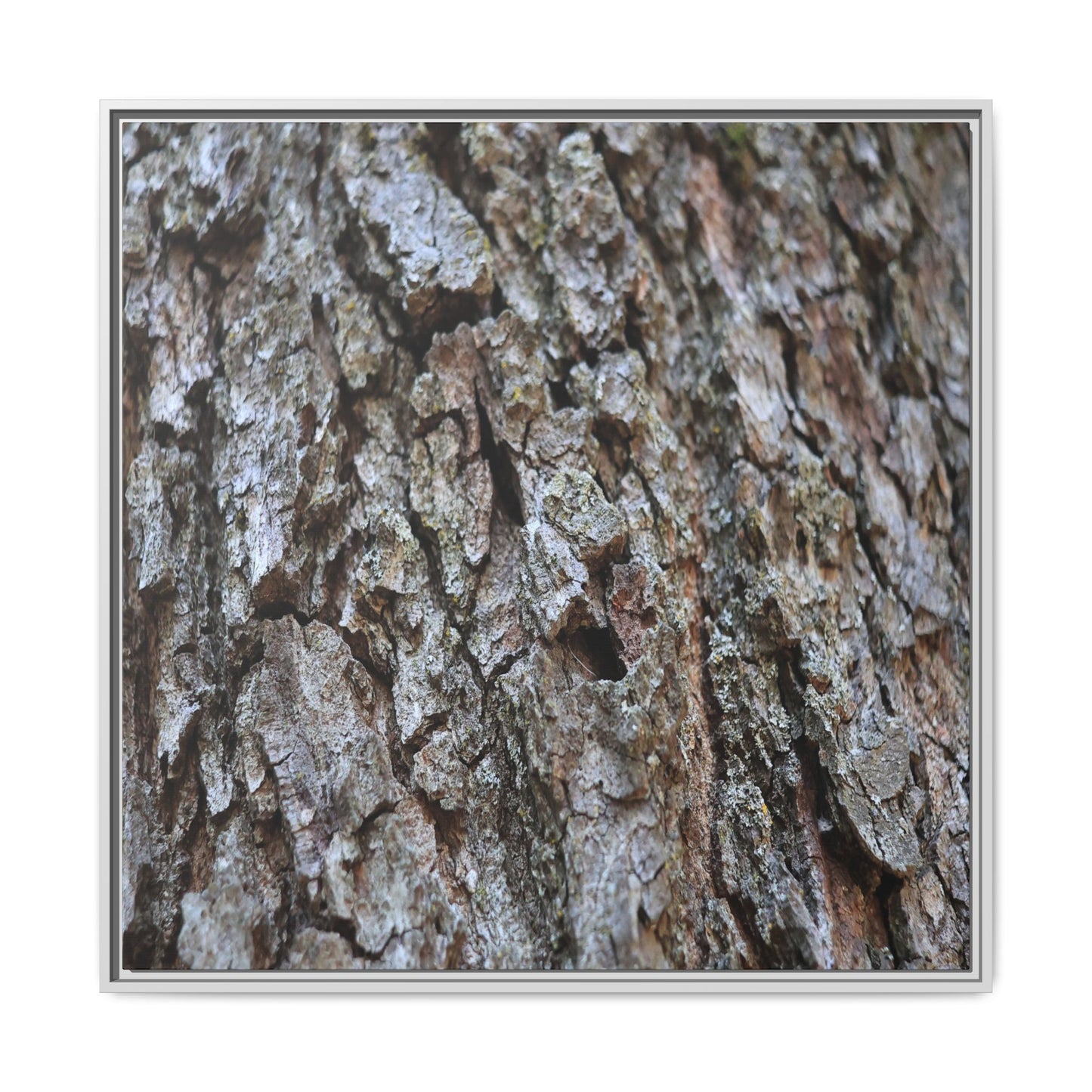 Woodland Canvas - Unique Stretched Canvas Wall Art