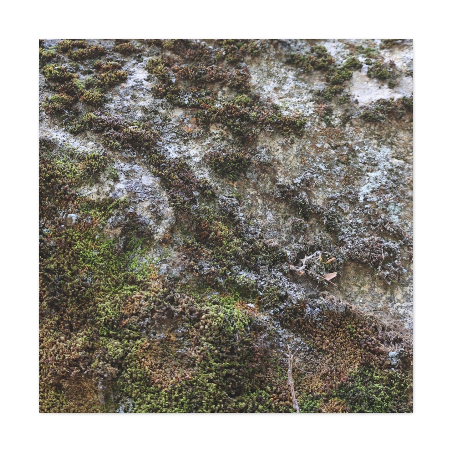 Moss Tapestry - Unique Frameless Canvas Wall Art