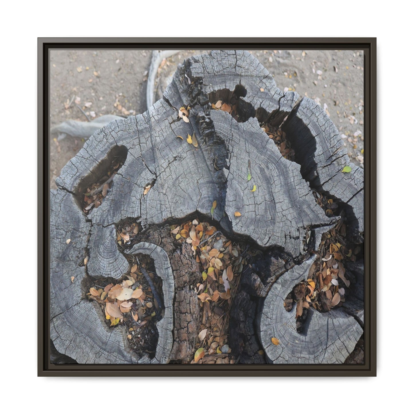 Time's Fractal Memory - Unique Stretched Canvas Wall Art