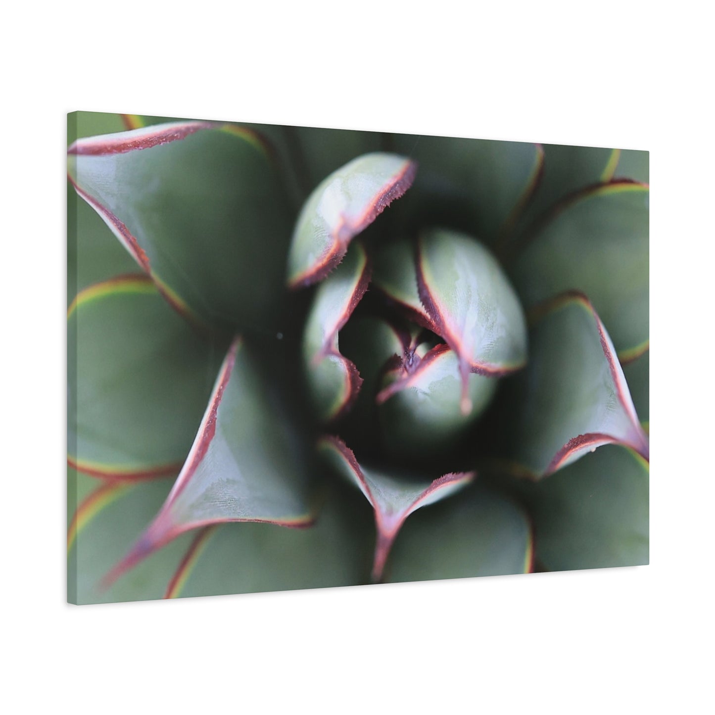 Emerald Spiral - Unique Frameless Canvas Wall Art