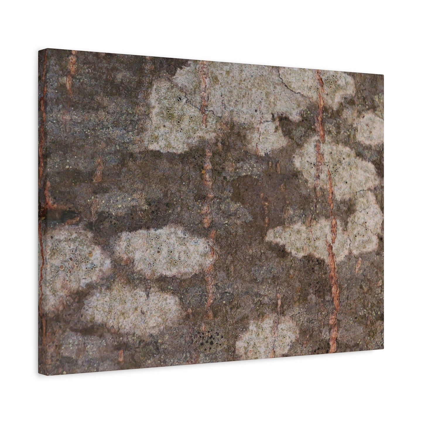 Earthen Memoir - Unique Frameless Canvas Wall Art