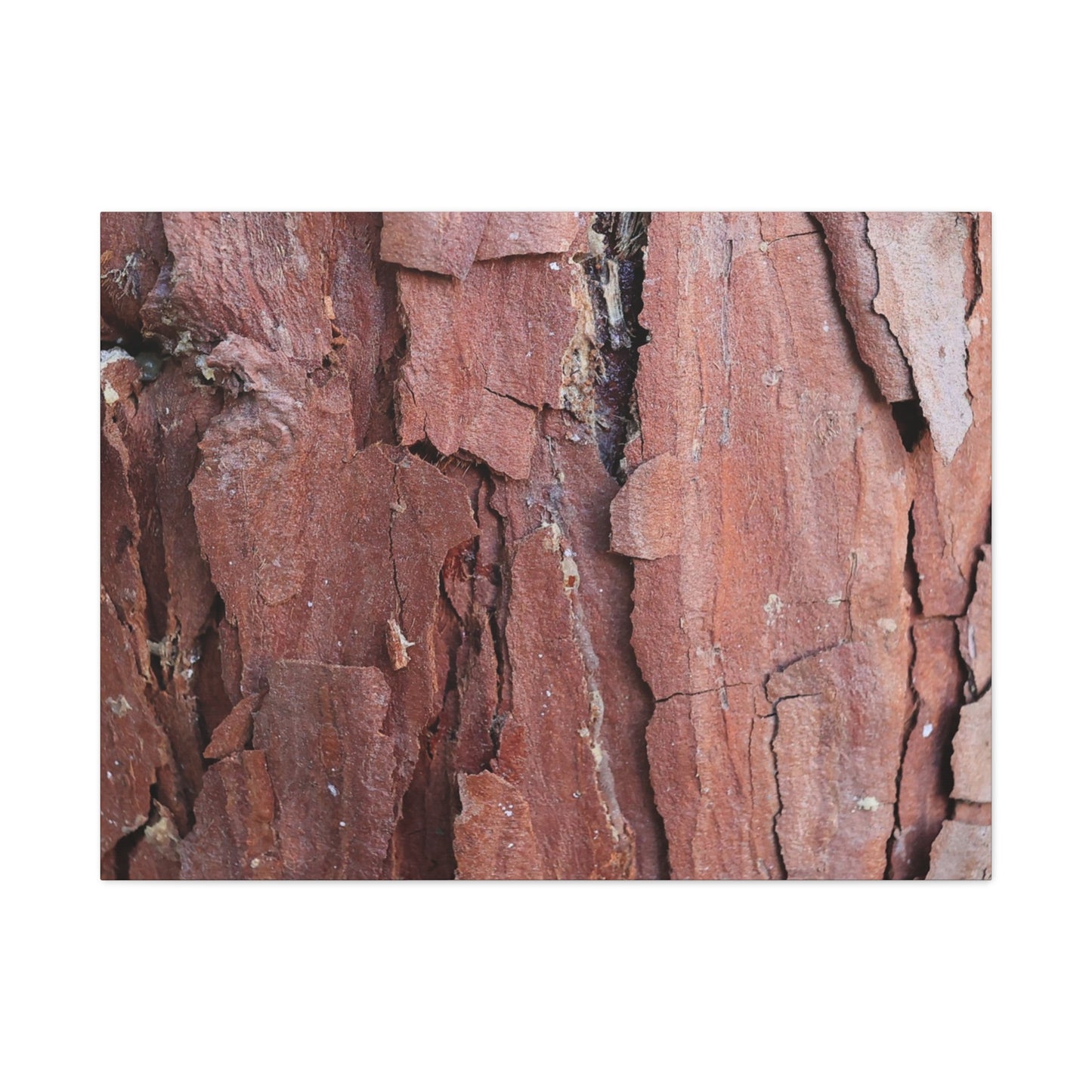 Crimson Fissures - Unique Frameless Canvas Wall Art