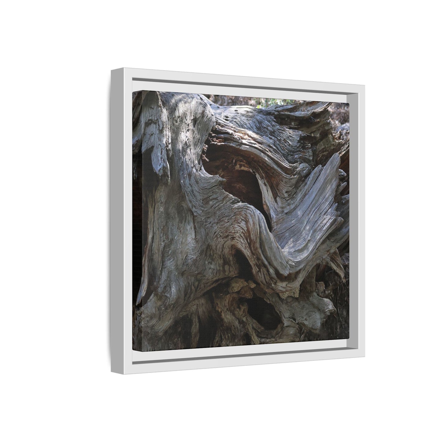 Twisted Memories - Unique Stretched Canvas Wall Art