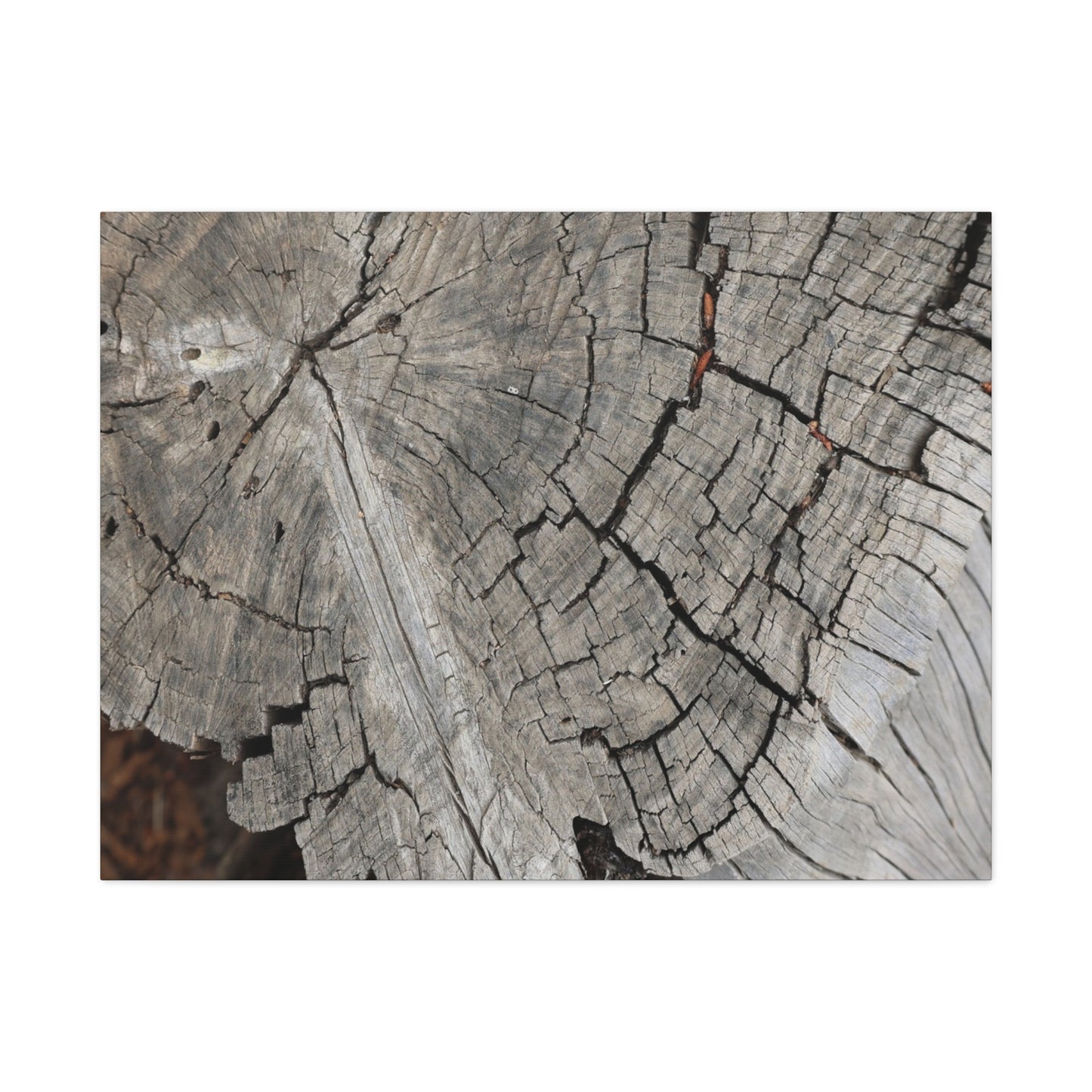 Cracked Memories - Unique Frameless Canvas Wall Art