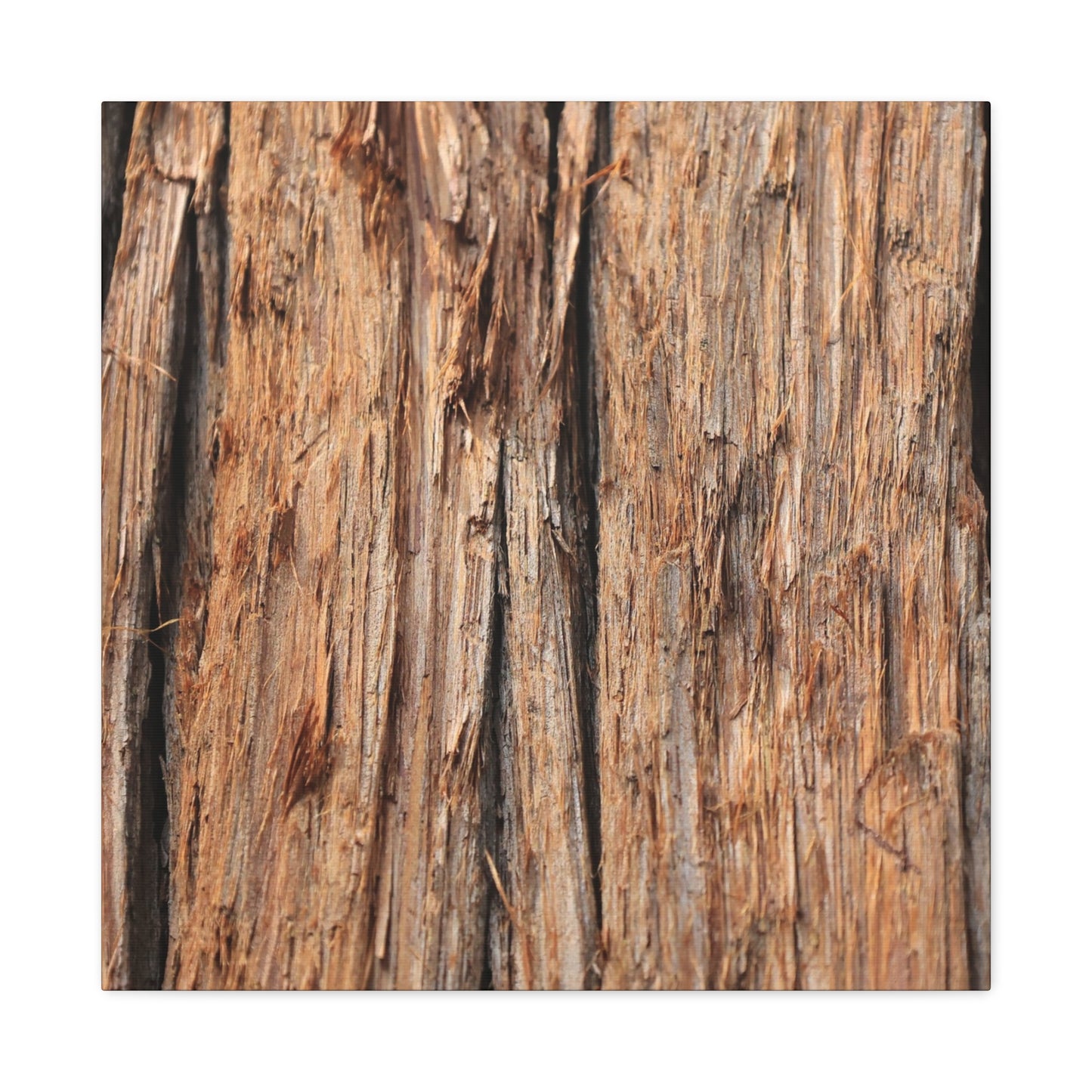 Woodland Echoes - Unique Frameless Canvas Wall Art