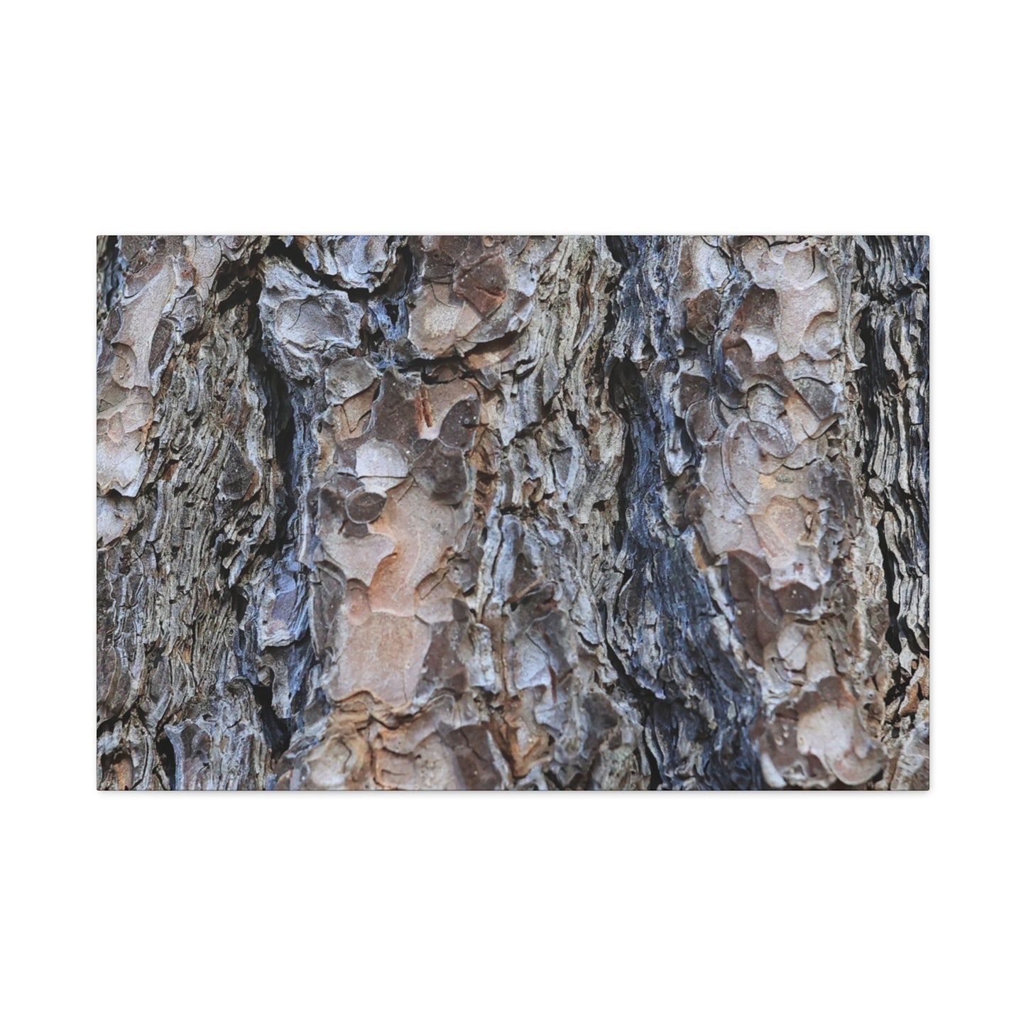 Arboreal Patterns - Unique Frameless Canvas Wall Art