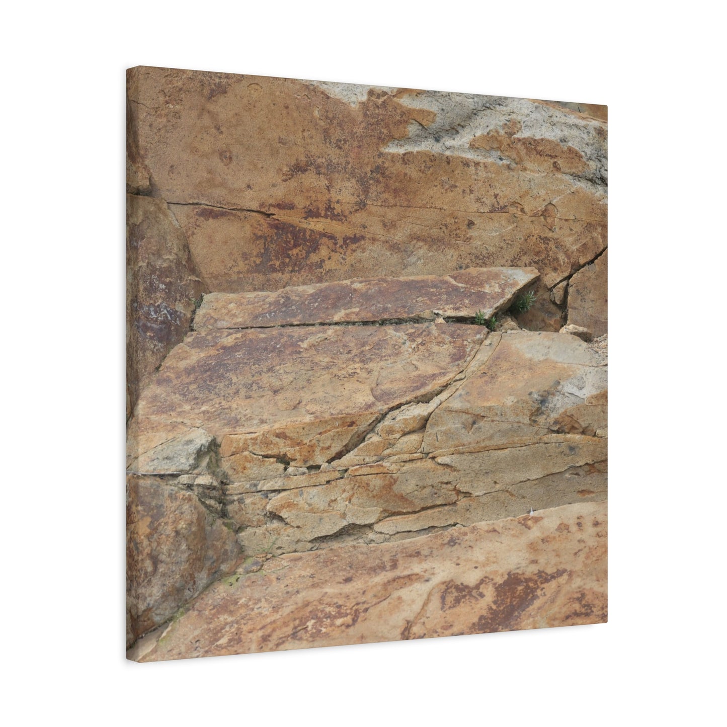 Rocky Terrain - Unique Frameless Canvas Wall Art