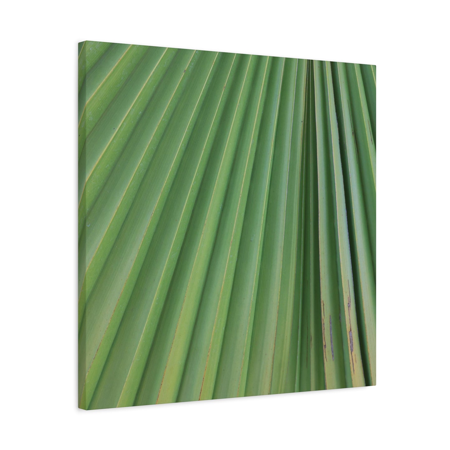 Palm Pulse - Unique Frameless Canvas Wall Art
