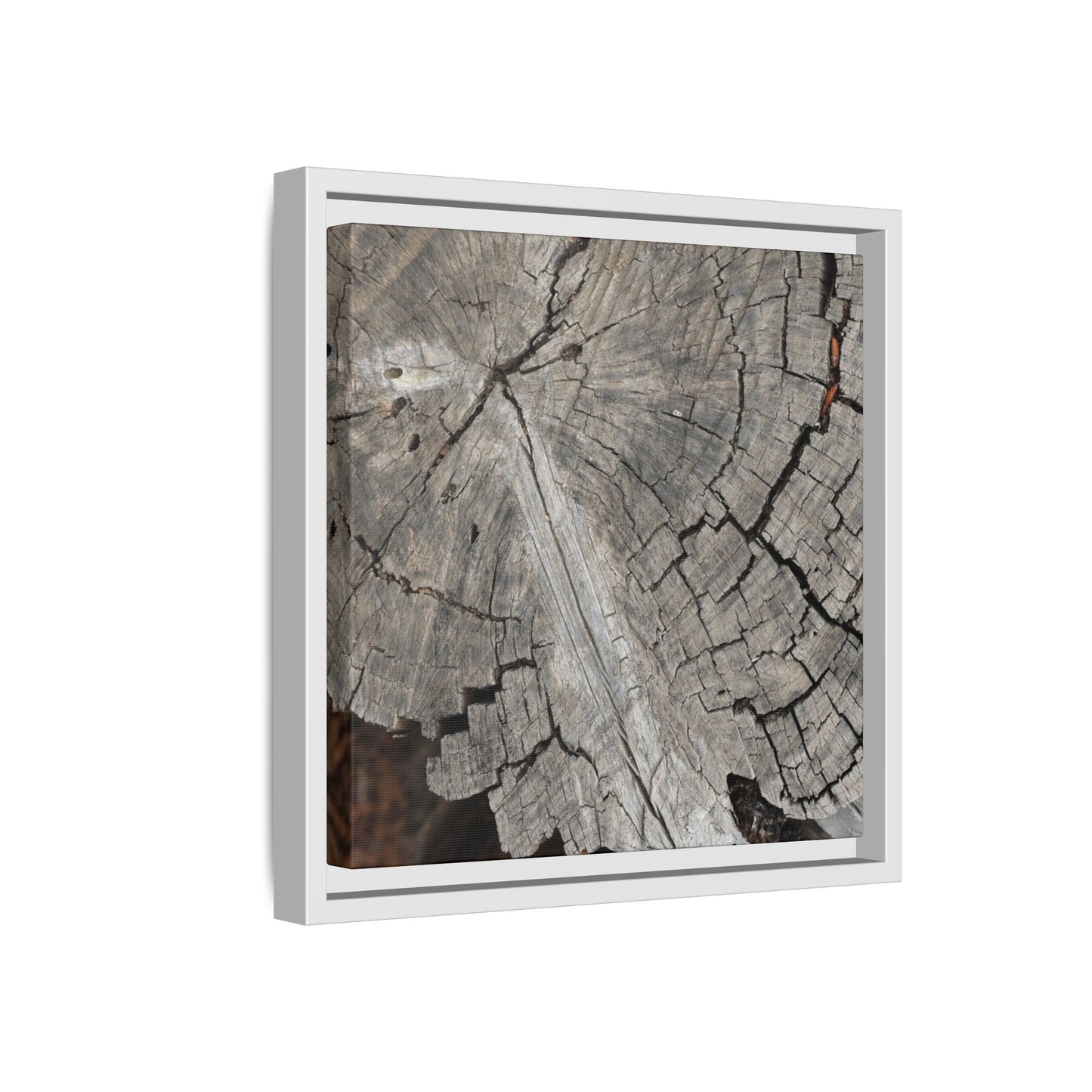 Time's Signature - Unique Stretched Canvas Wall Art