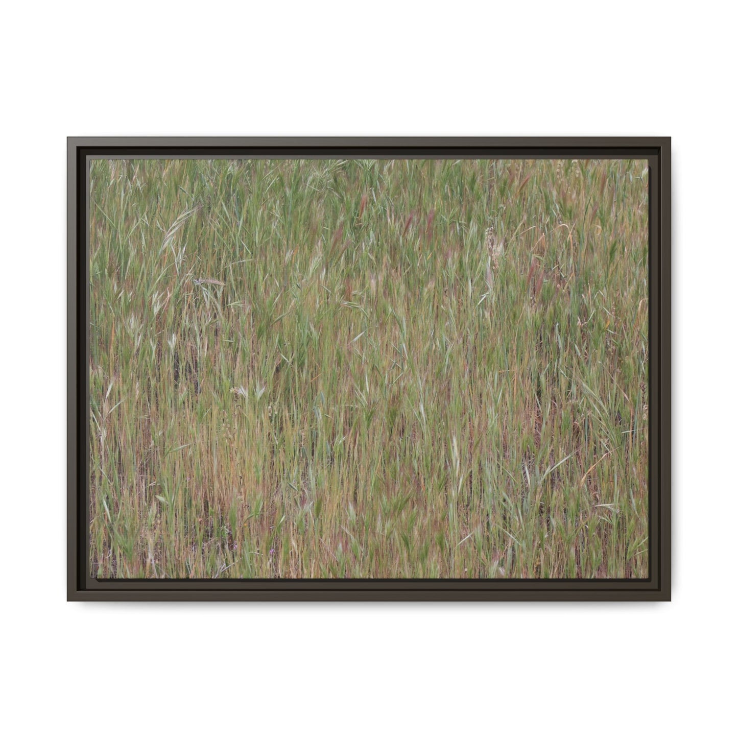 Field of Dreams - Unique Stretched Canvas Wall Art