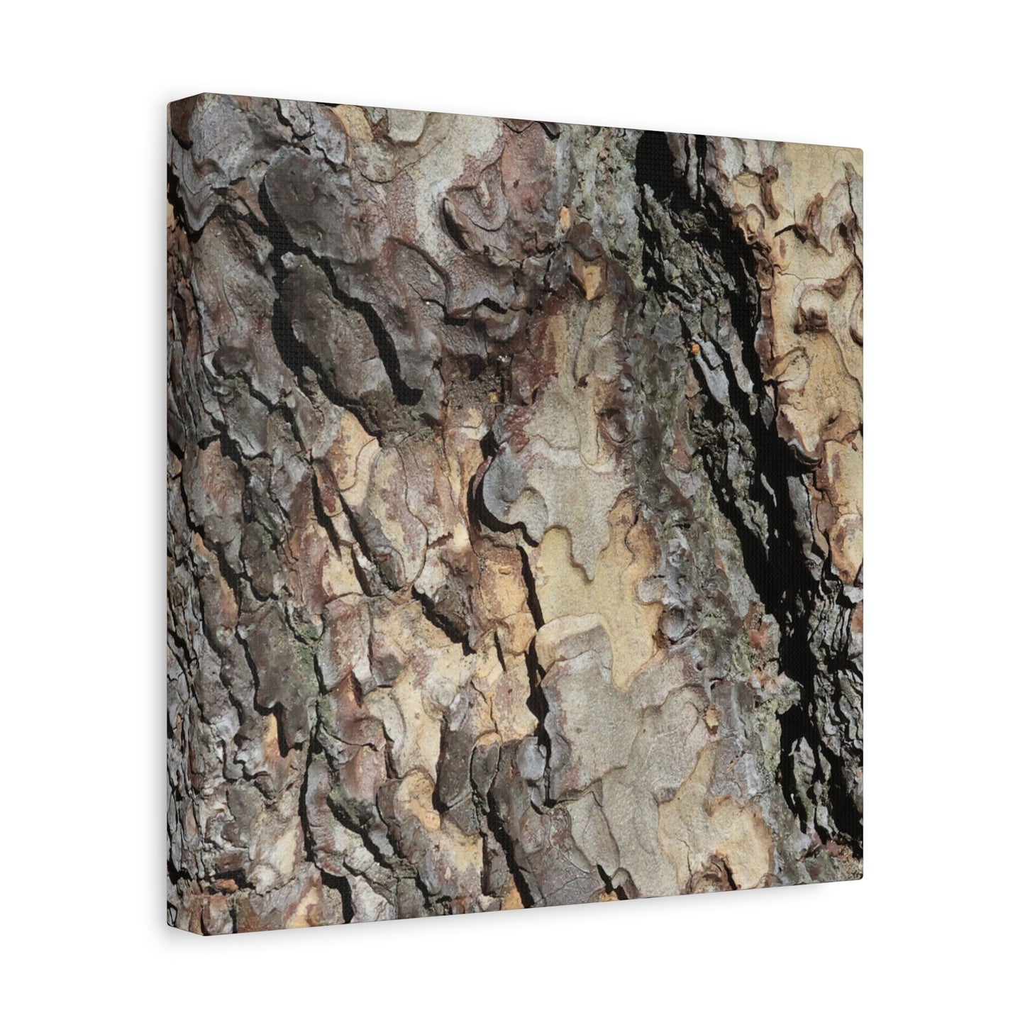 Tree Bark Symphony - Unique Frameless Canvas Wall Art