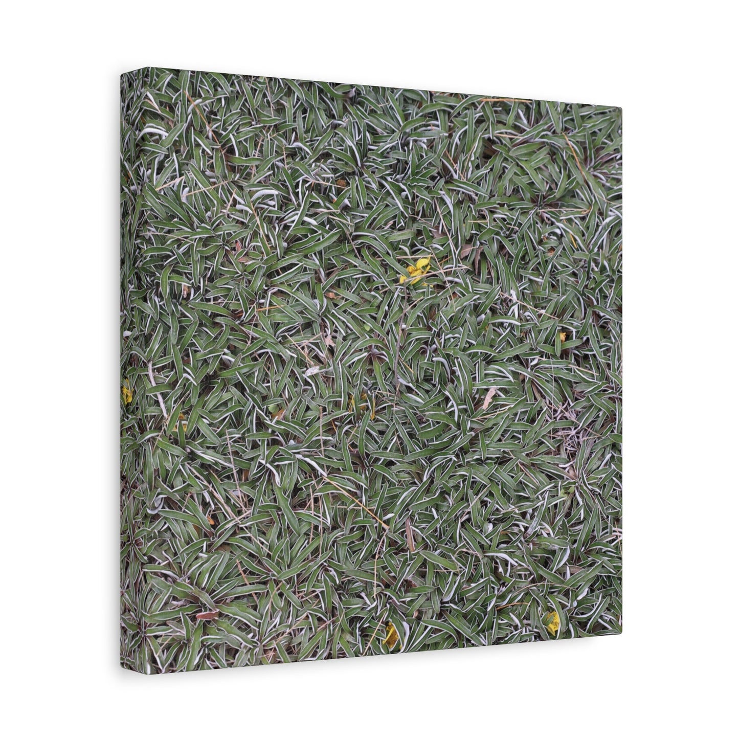 Tangled Memories - Unique Frameless Canvas Wall Art