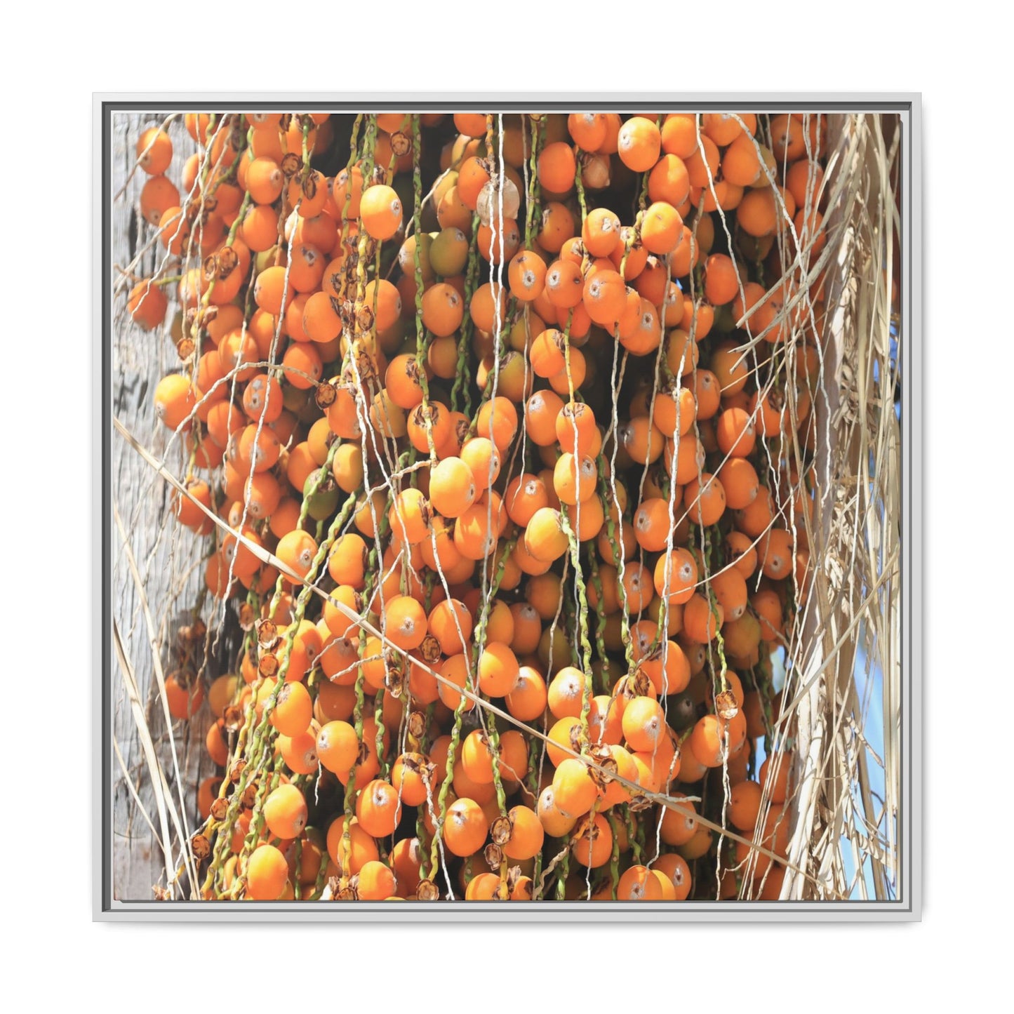 Clusters of Sunlight - Unique Canvas Wall Art