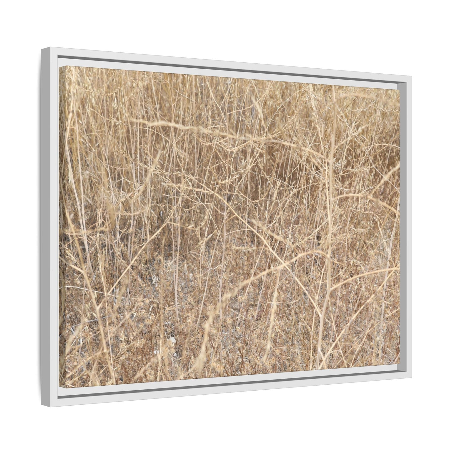 Golden Stalks - Unique Stretched Canvas Wall Art