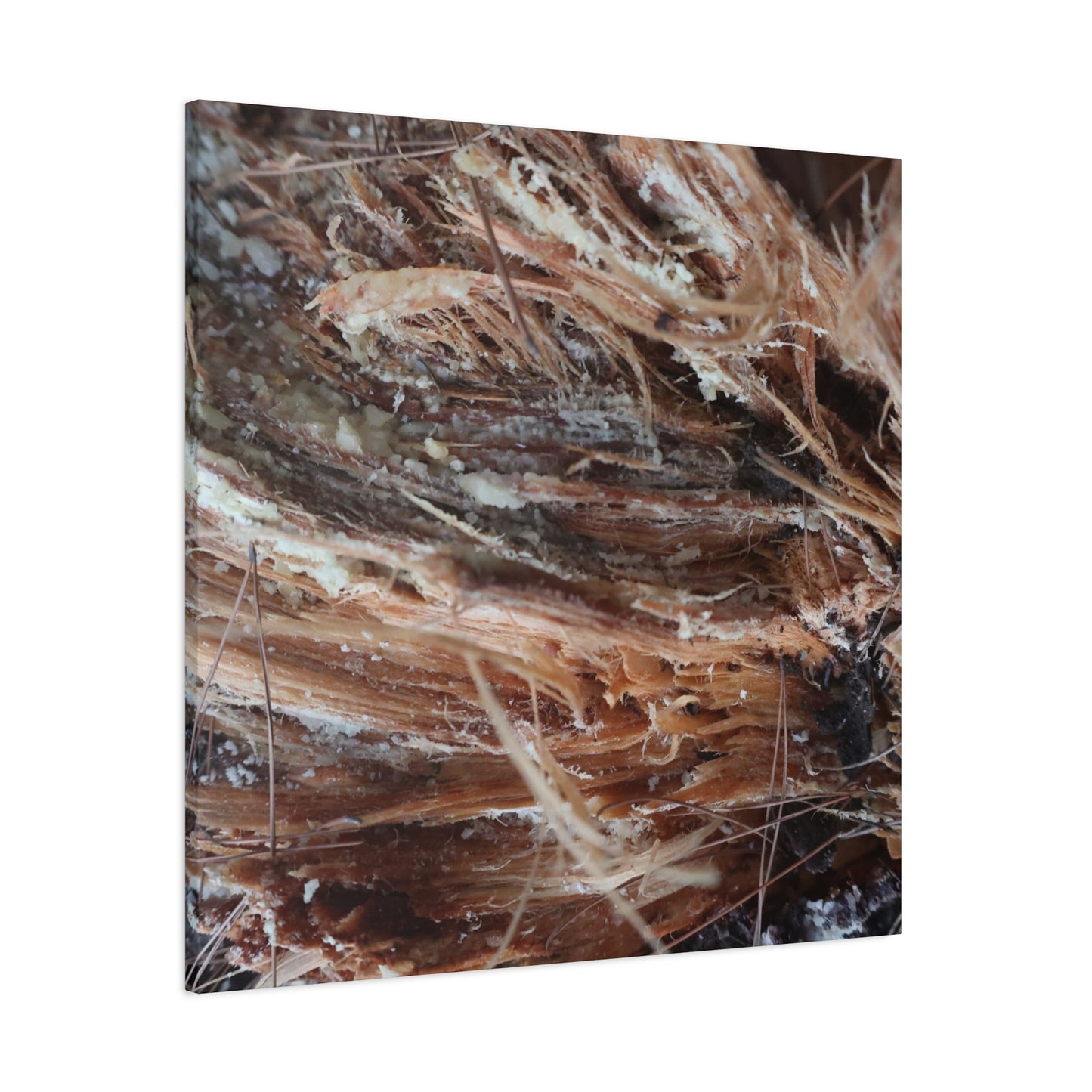 Decaying Whispers - Unique Frameless Canvas Wall Art