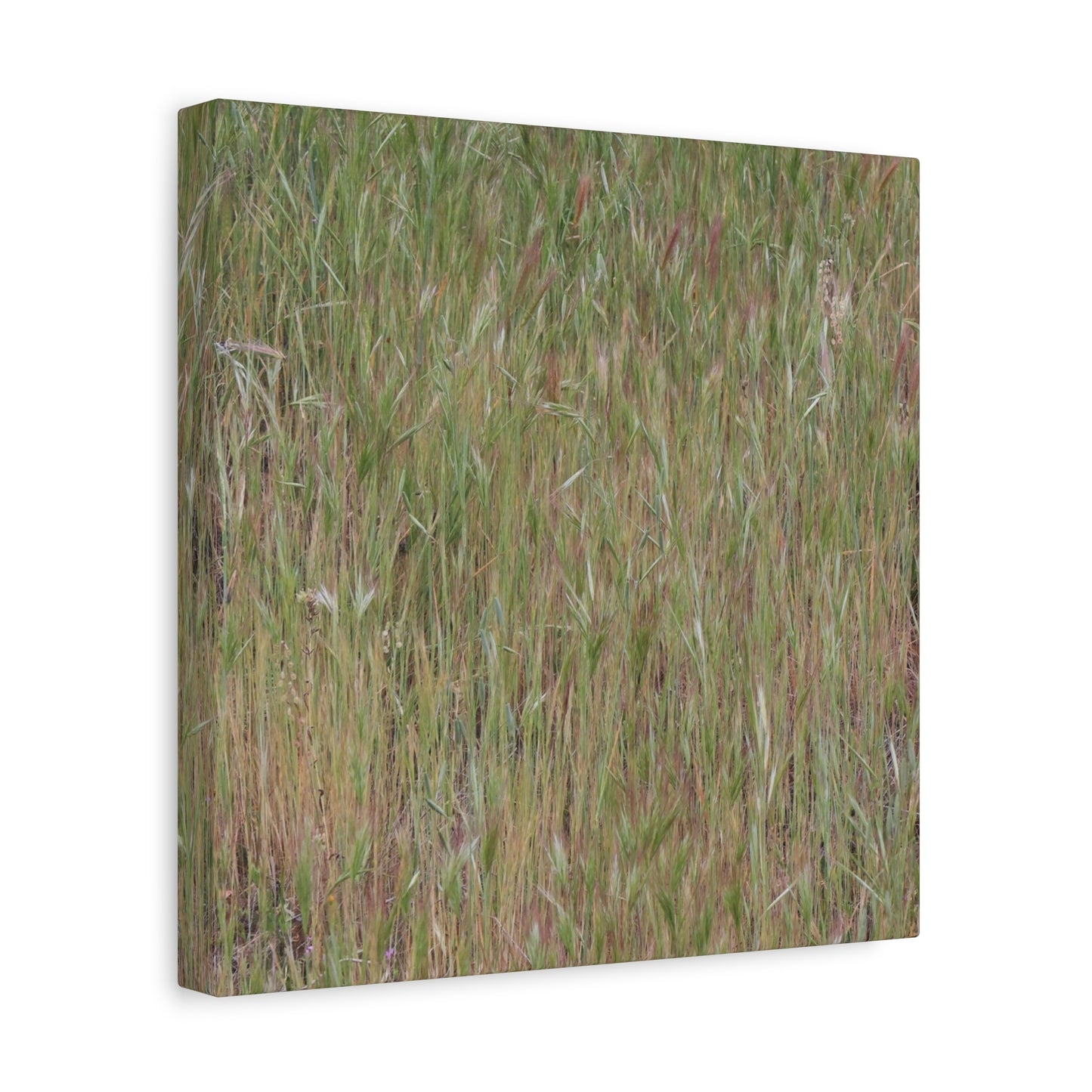 Whispers of the Prairie - Unique Frameless Canvas Wall Art