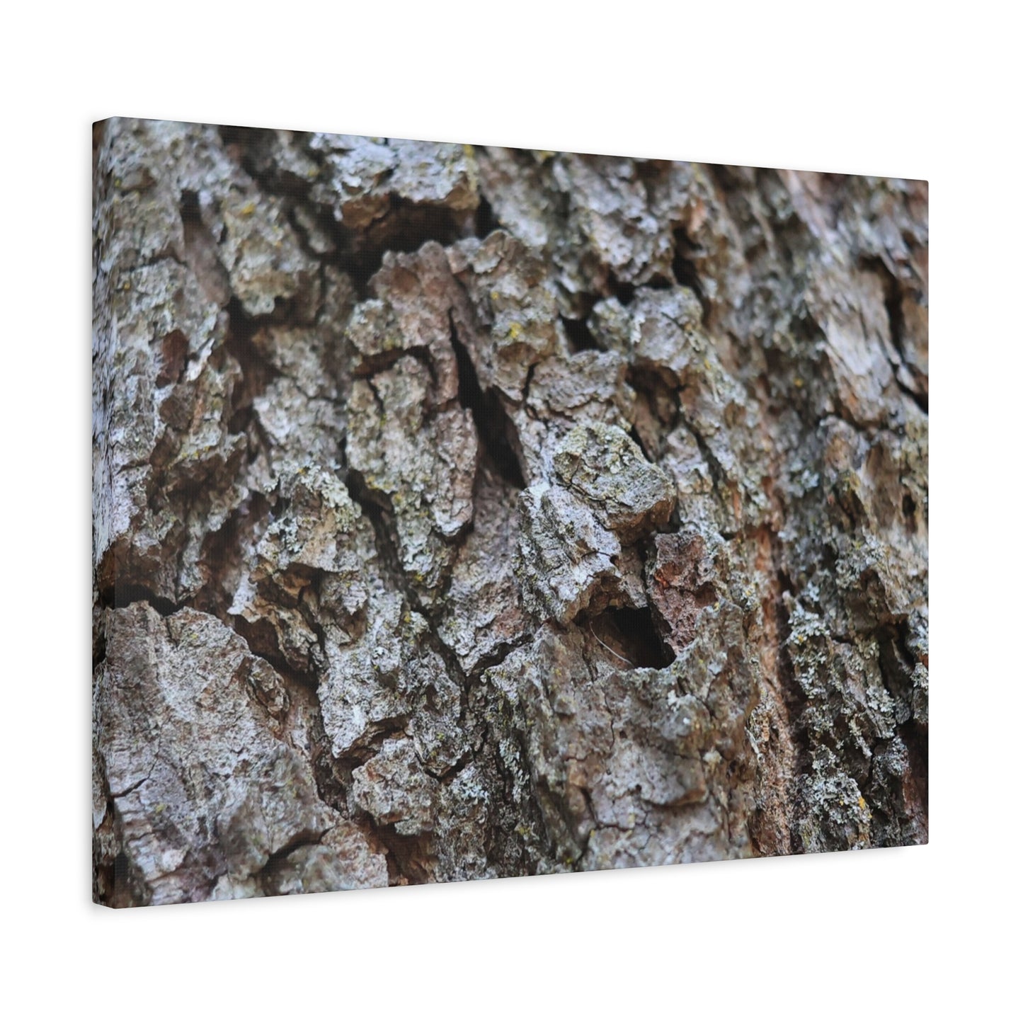 Cracked Echoes - Unique Frameless Canvas Wall Art