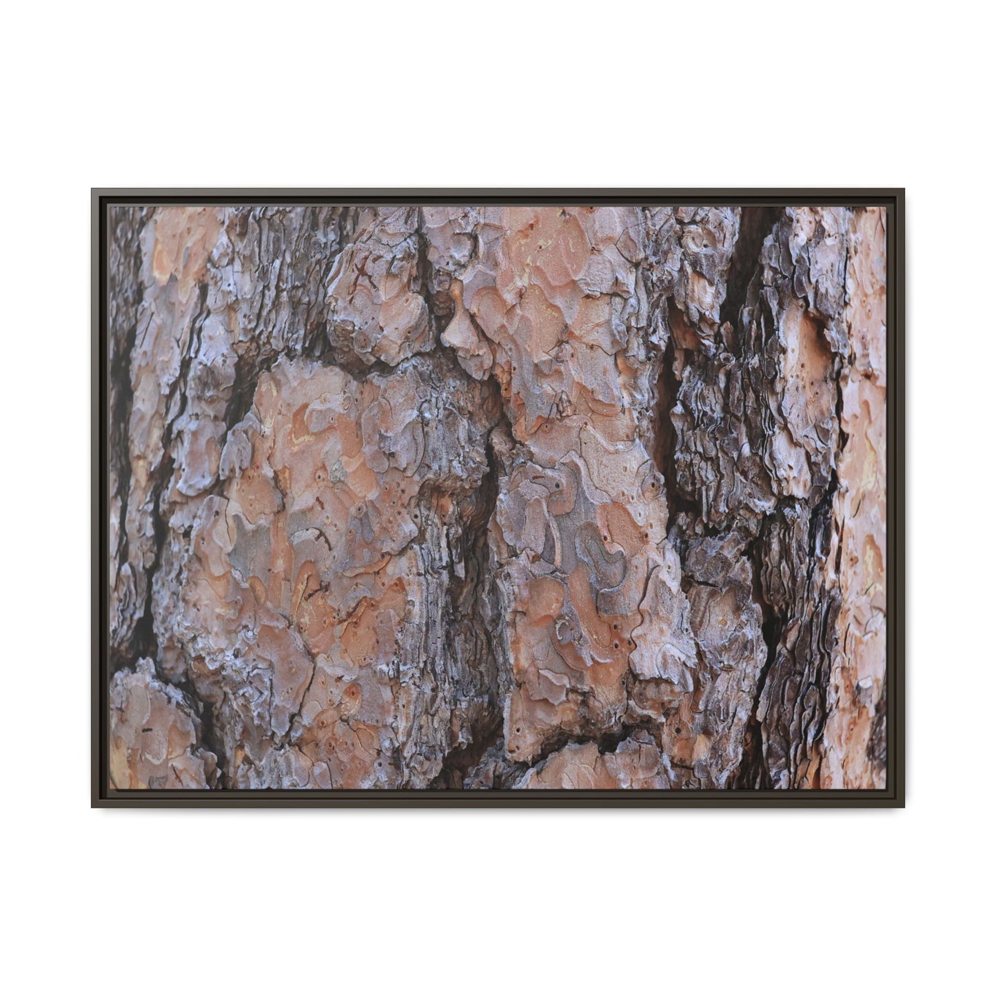 Tree Skin Symphony - Unique Stretched Canvas Wall Art