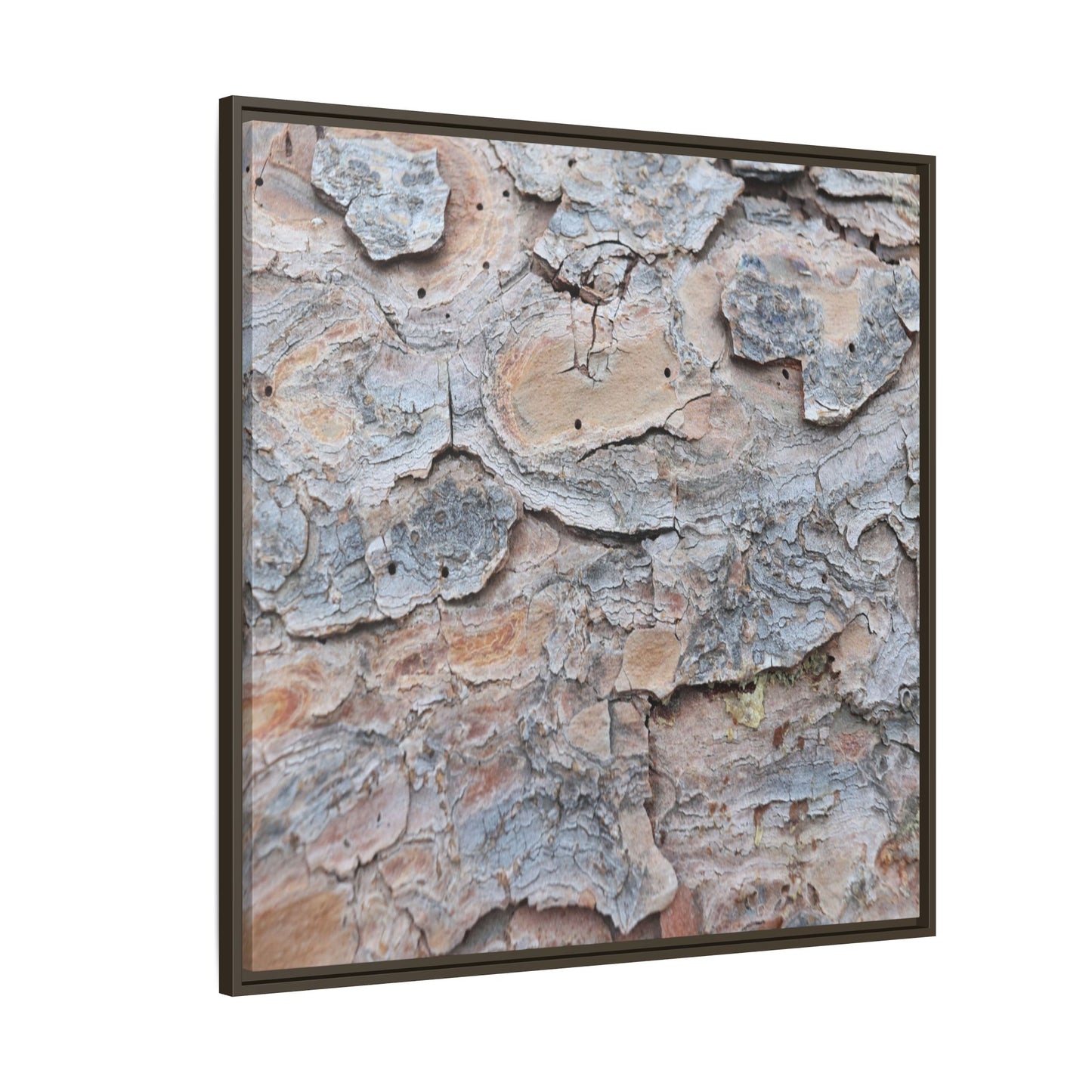 Peeling Memories - Unique Stretched Canvas Wall Art