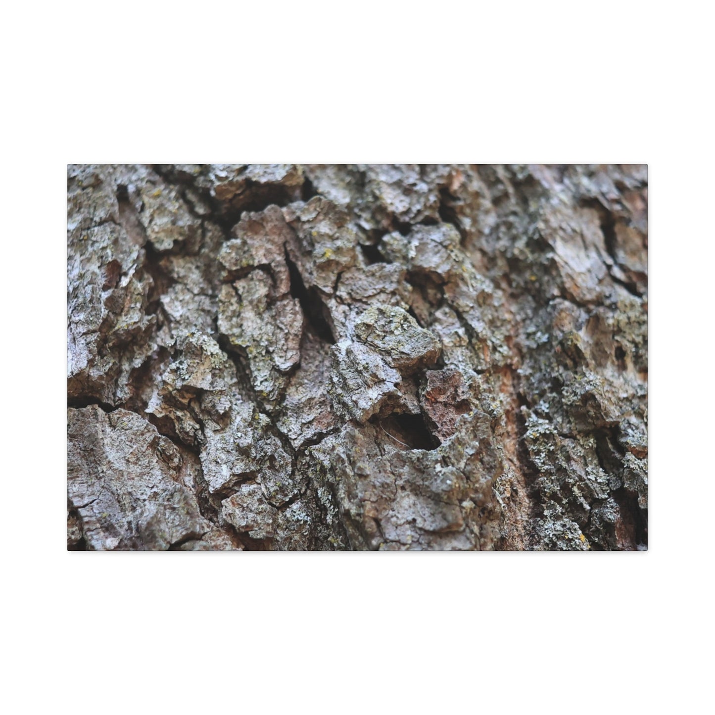 Cracked Echoes - Unique Frameless Canvas Wall Art