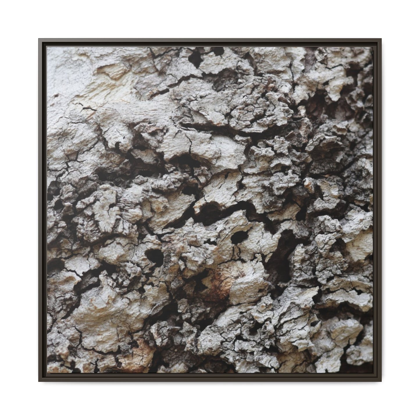 Cracked Terrain - Unique Stretched Canvas Wall Art