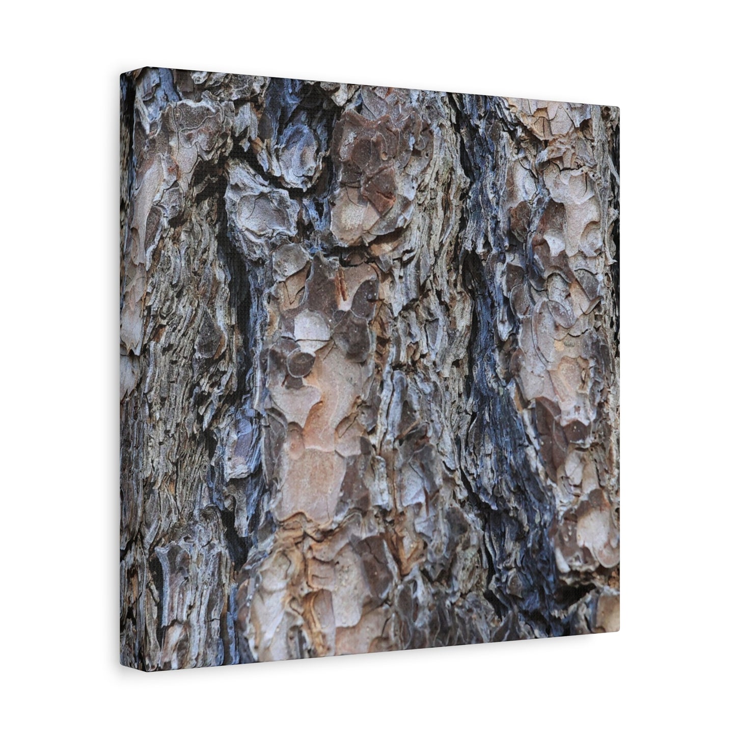 Arboreal Patterns - Unique Frameless Canvas Wall Art