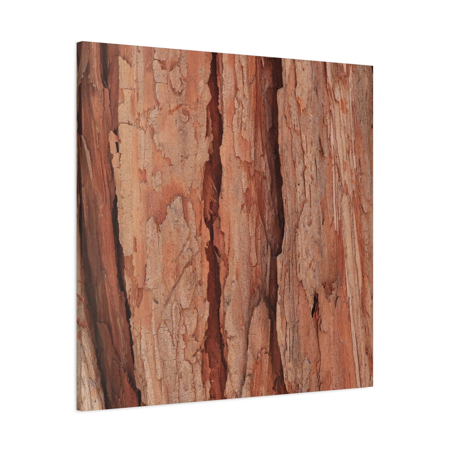 Bark Layers of Time - Unique Frameless Canvas Wall Art