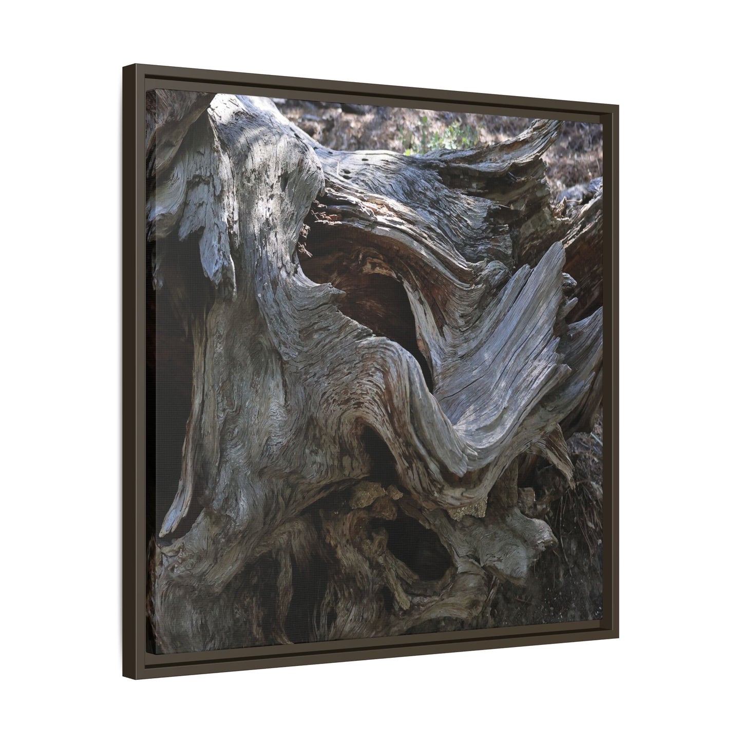 Twisted Memories - Unique Stretched Canvas Wall Art