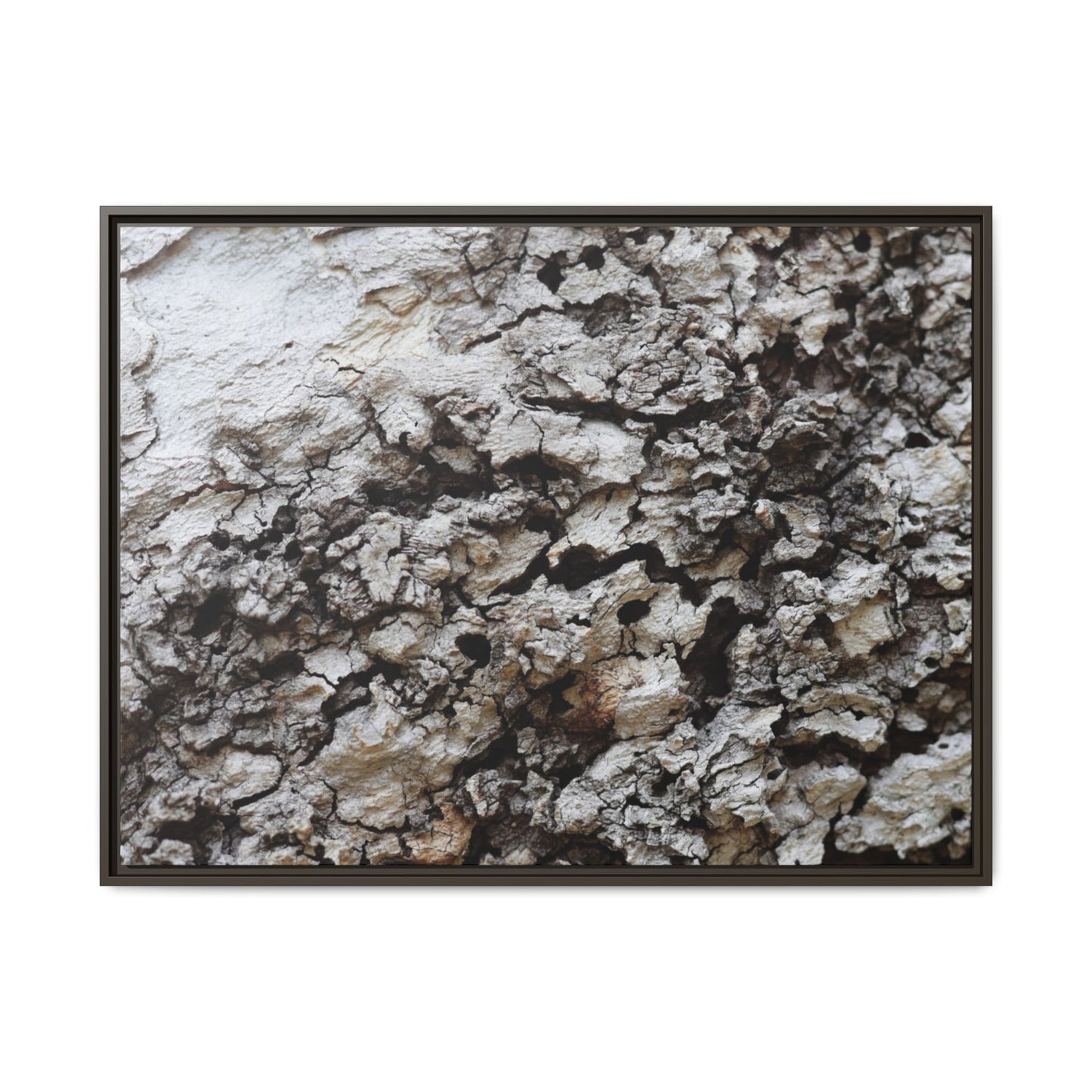 Cracked Terrain - Unique Stretched Canvas Wall Art