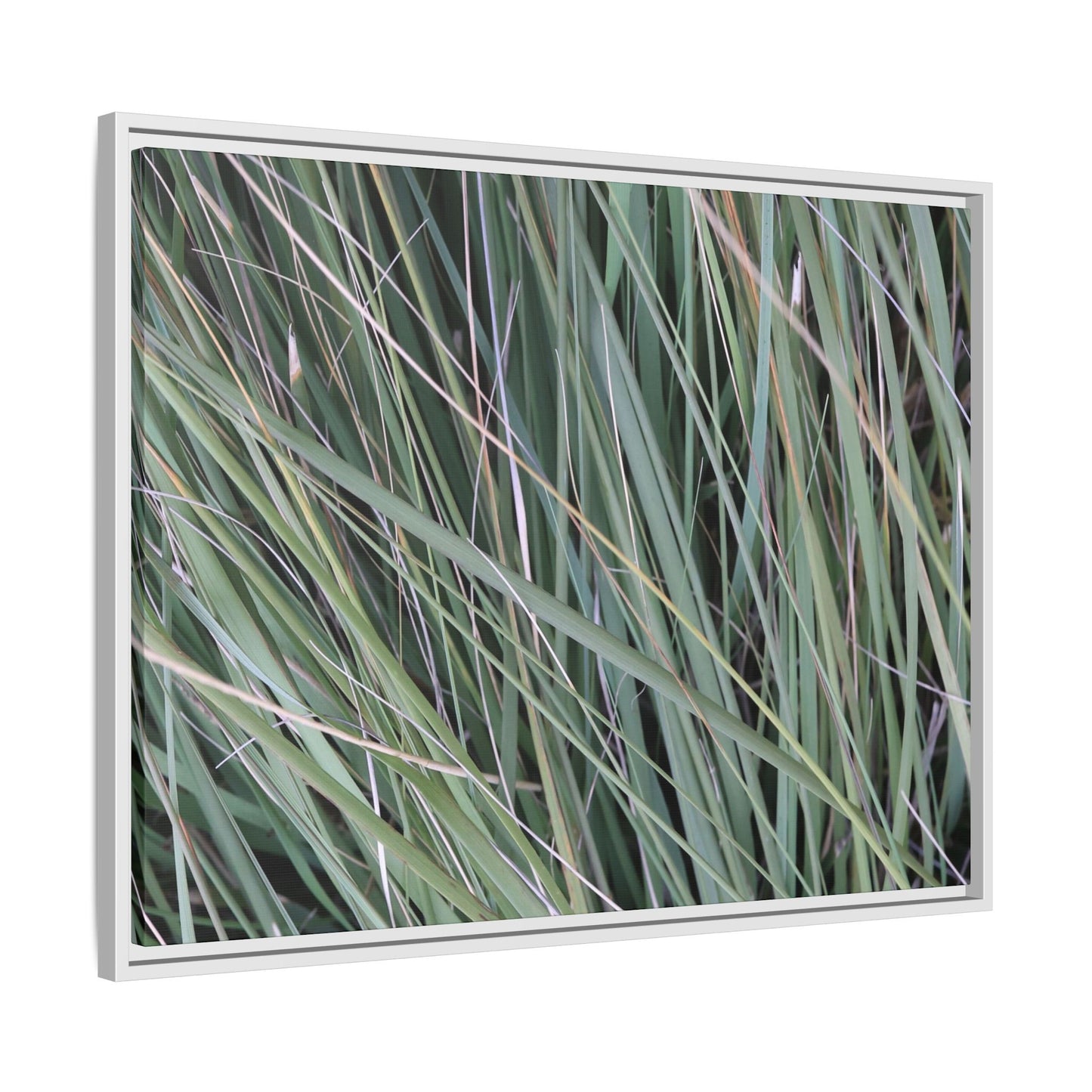 Grassland Symphony - Unique Stretched Canvas Wall Art