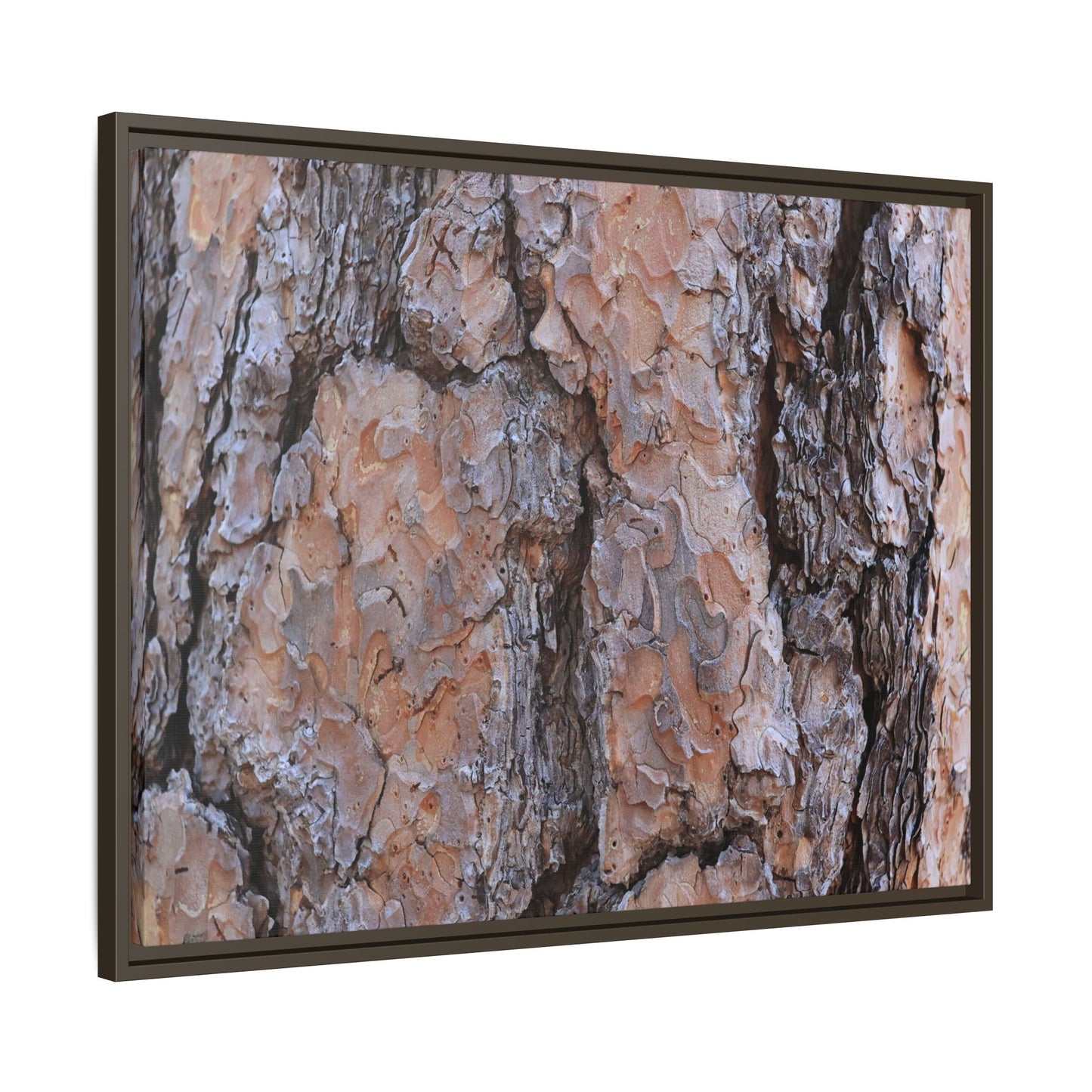 Tree Skin Symphony - Unique Stretched Canvas Wall Art