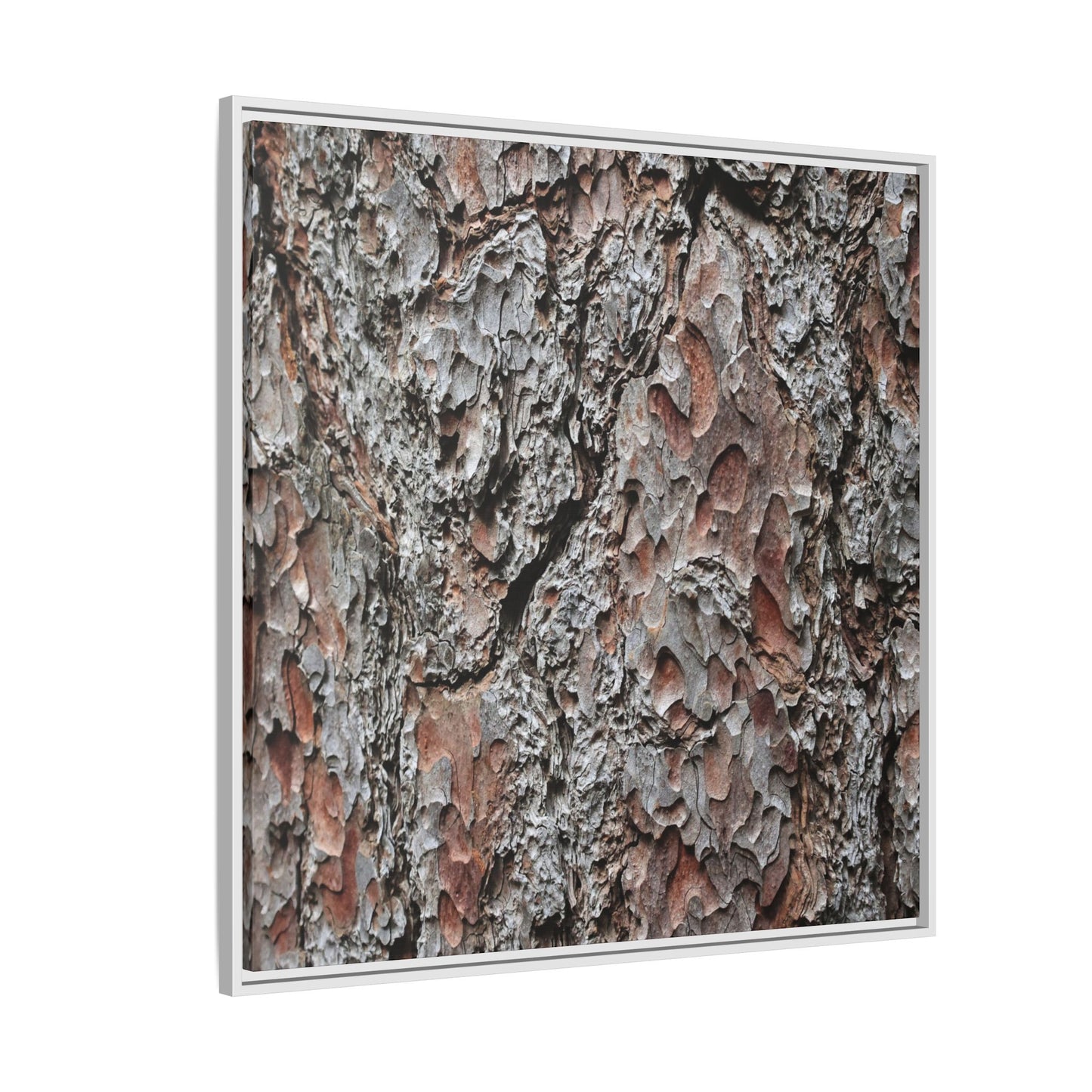 Bark Texture Symphony - Unique Stretched Canvas Wall Art