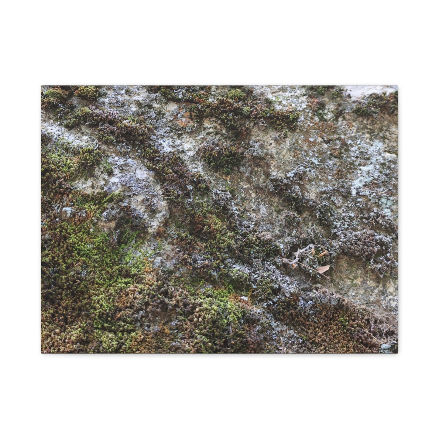 Moss Tapestry - Unique Frameless Canvas Wall Art