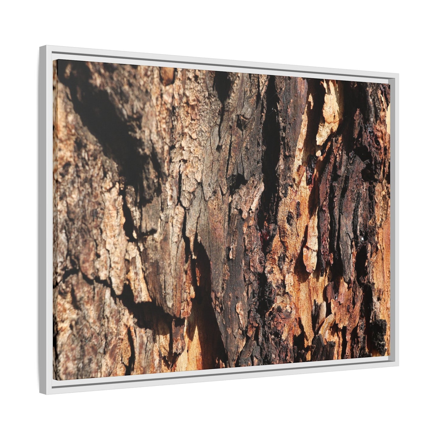 Rugged Beauty - Unique Stretched Canvas Wall Art