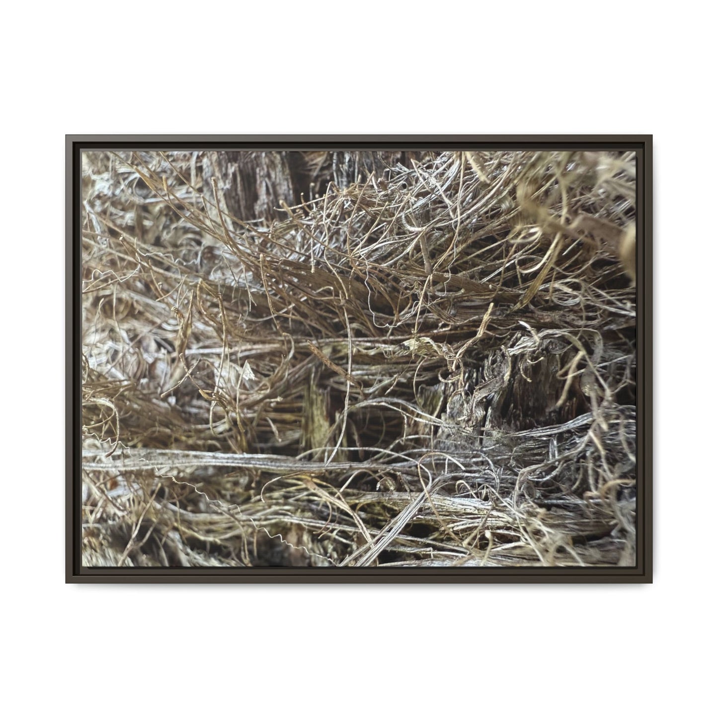 Tangled Whispers of Autumn - Unique Stretched Canvas Wall Art