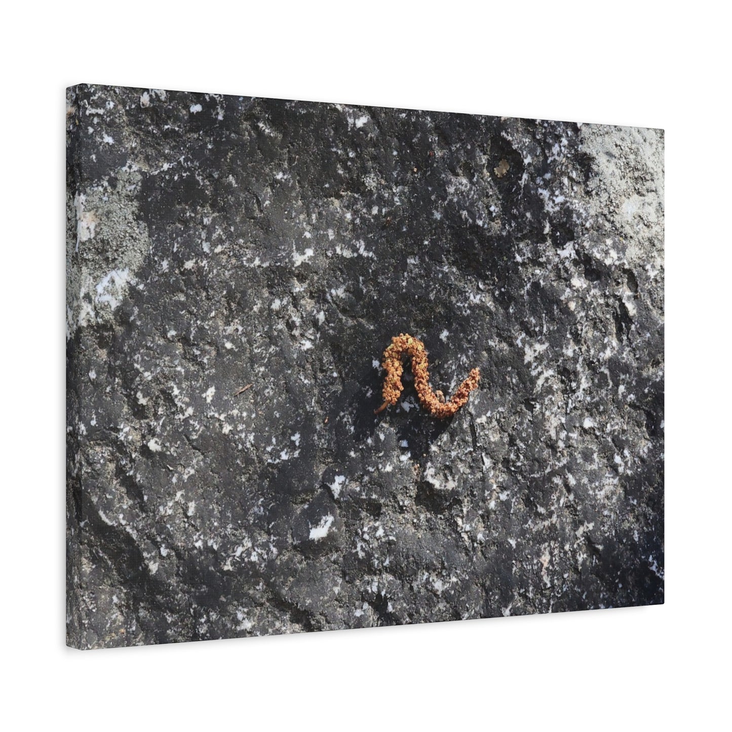 Earthen Serpent - Unique Frameless Canvas Wall Art