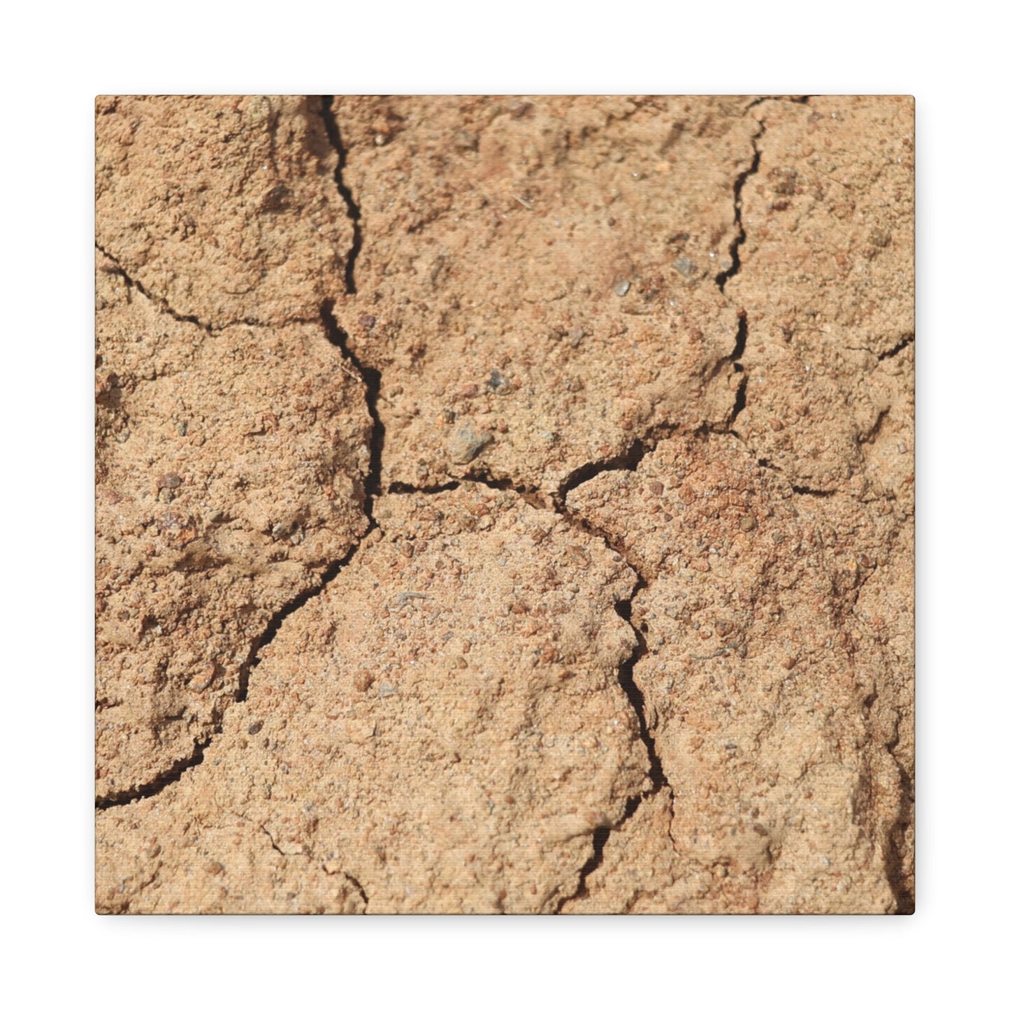 Cracked Earth's Lament - Unique Frameless Canvas Wall Art
