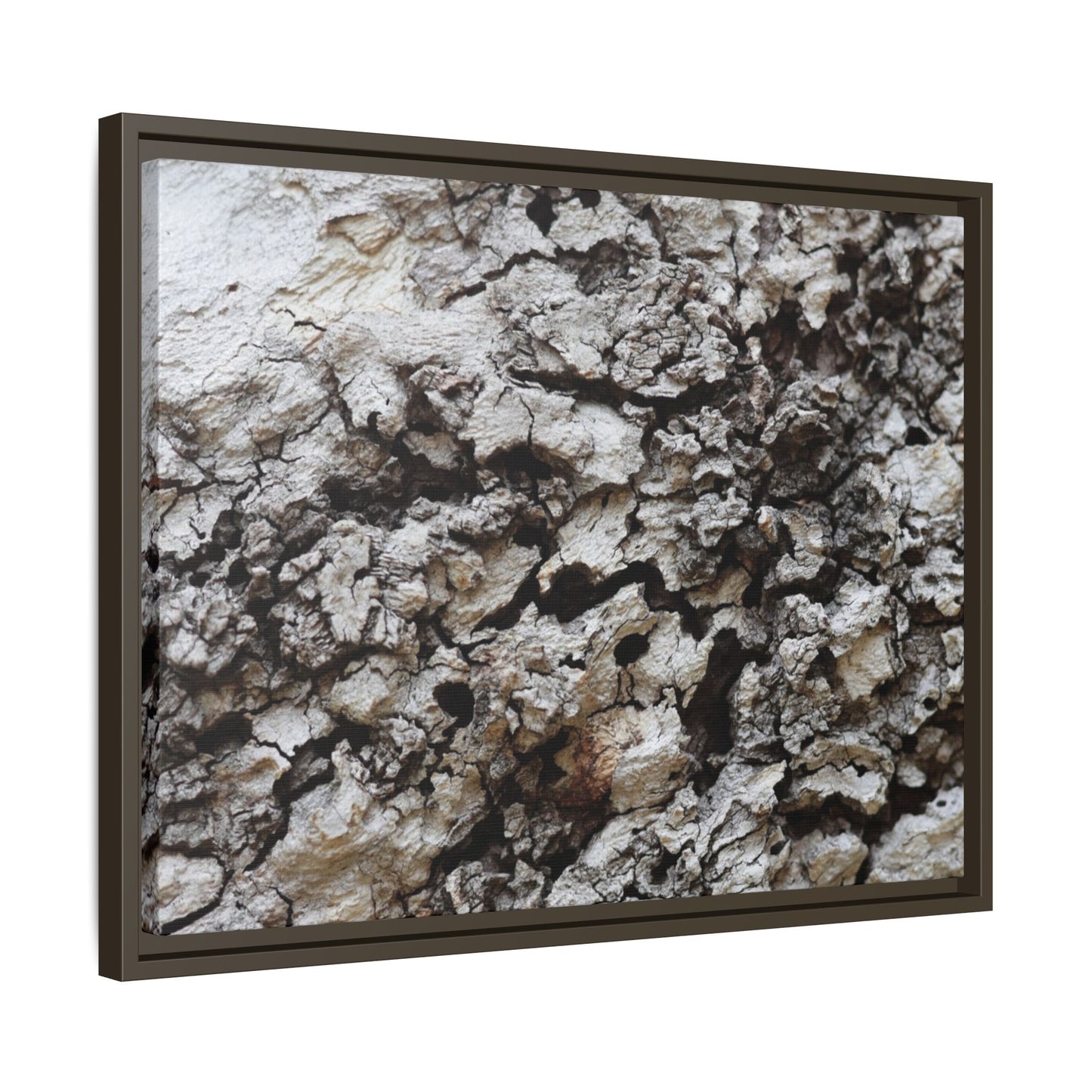 Cracked Terrain - Unique Stretched Canvas Wall Art