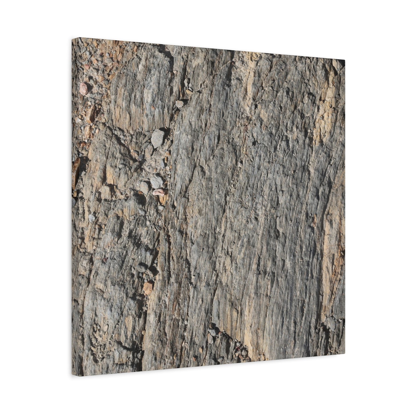 Bark Echoes - Unique Frameless Canvas Wall Art